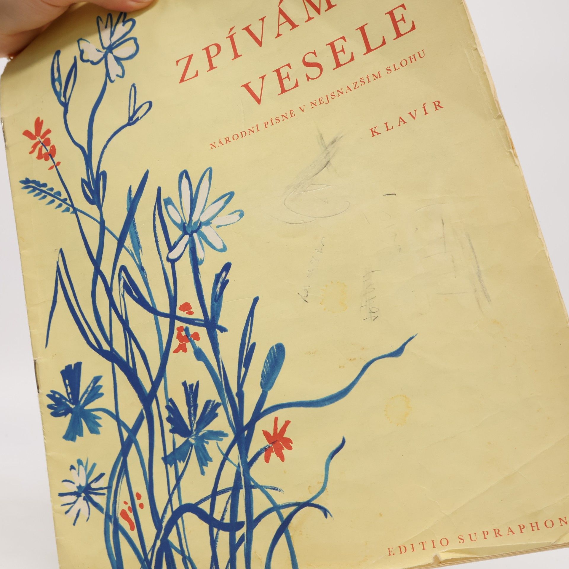 Jan Hlucháň Zpívám si vesele