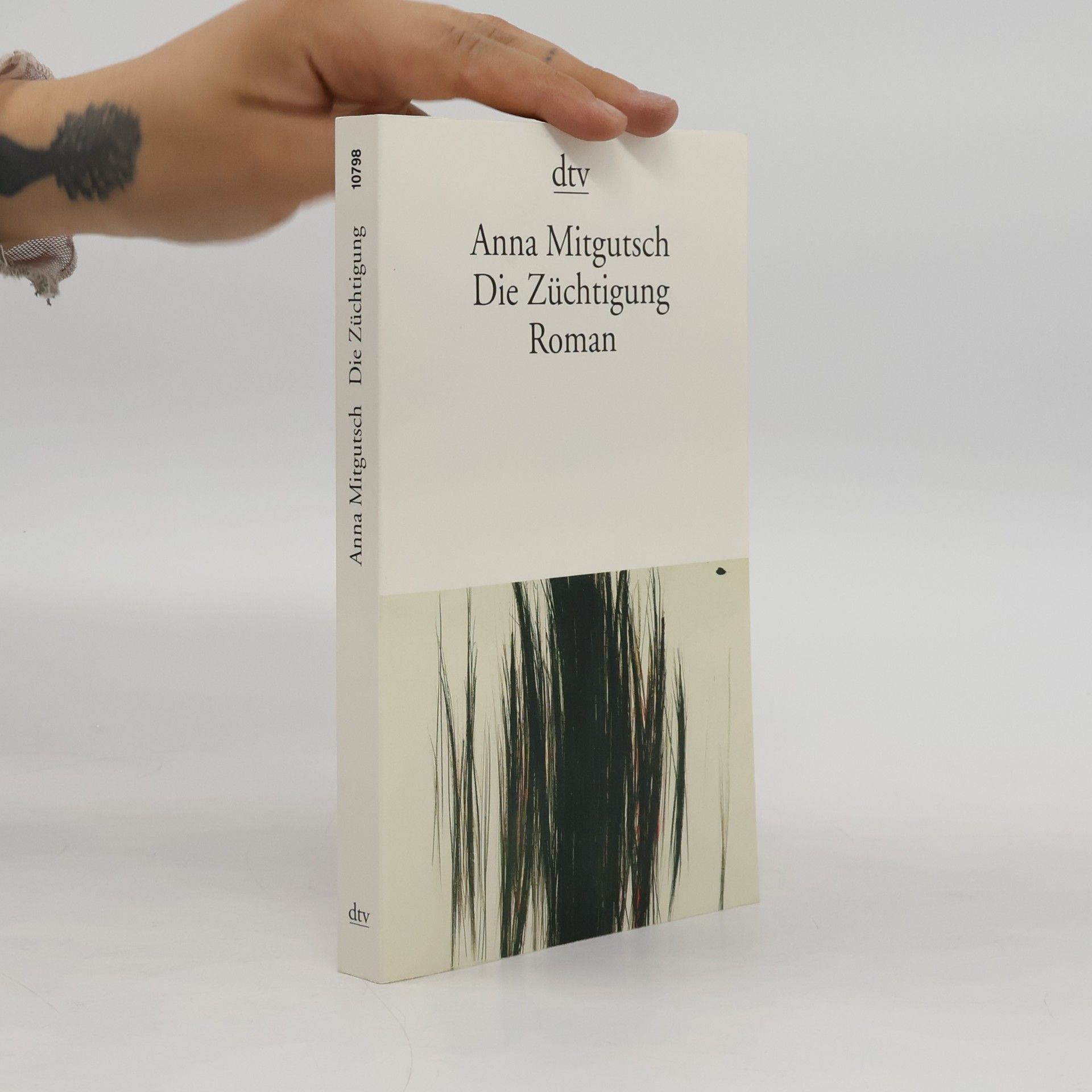 Anna Mitgutsch Die Züchtigung
