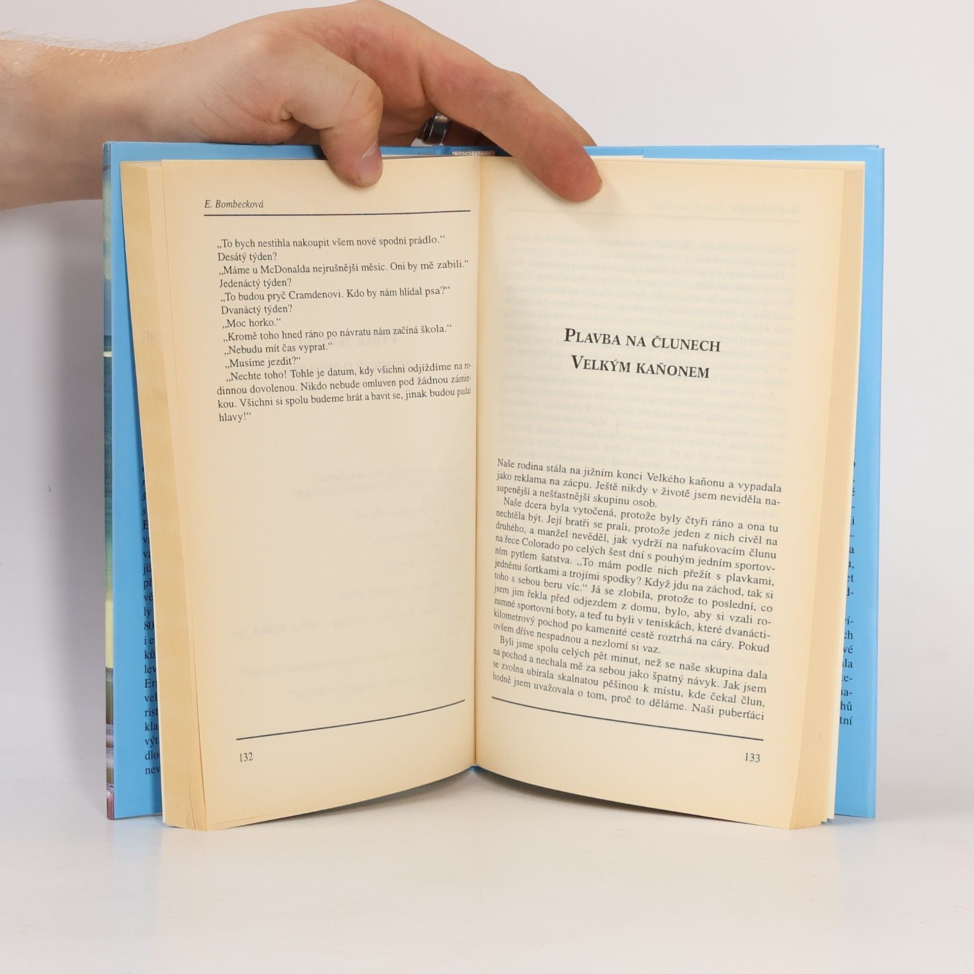 Erma Bombeck Jak (ne)zvládnout cestování