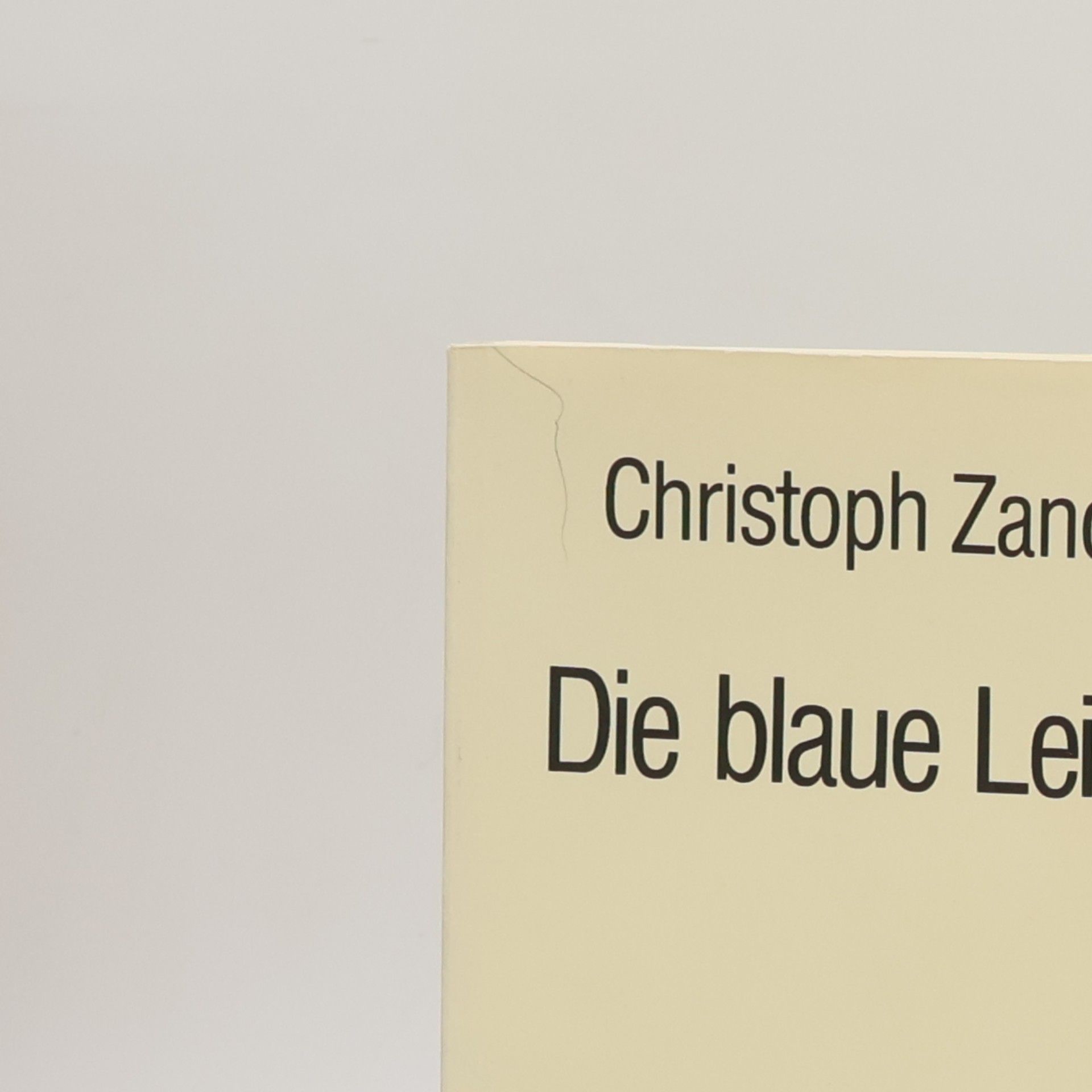 Christoph Zanon Die blaue Leiter