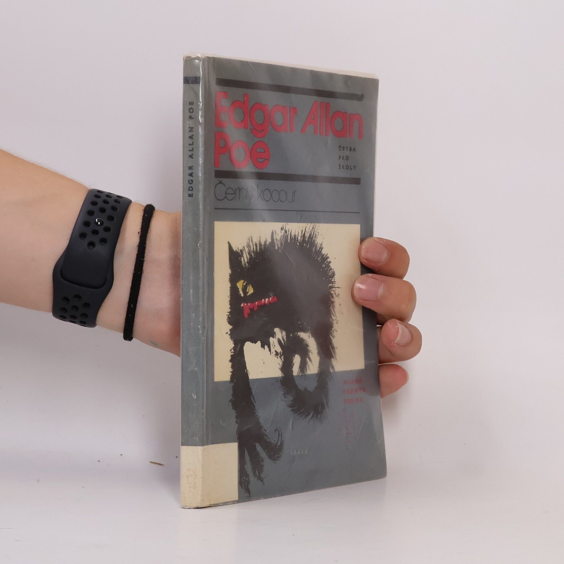 Edgar Allan Poe Černý kocour