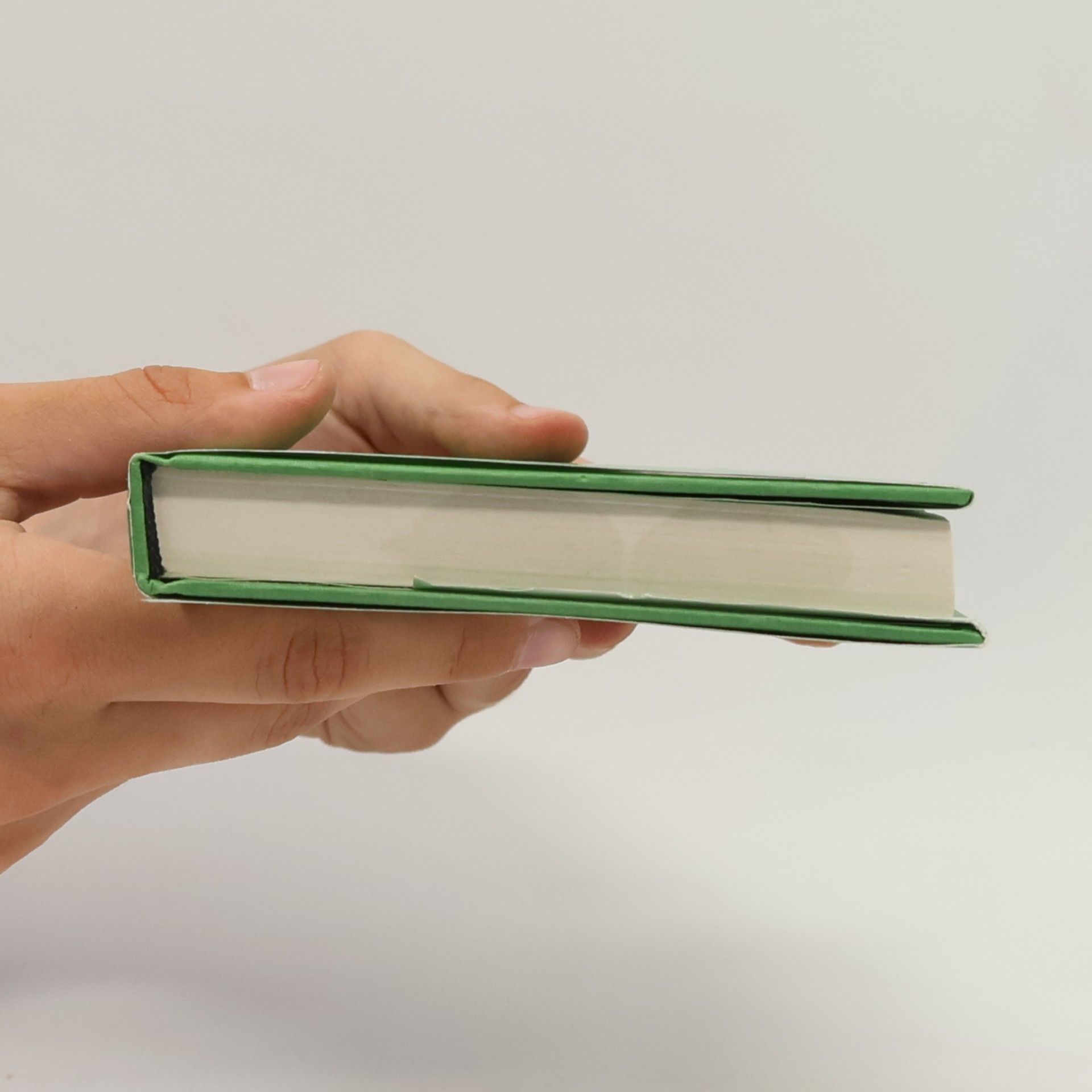 Matthias Bronisch Literarisch-künstlerische Reihe des Instituts für Auslandsbeziehungen Stuttgart - 22: Moderne makedonische Lyrik