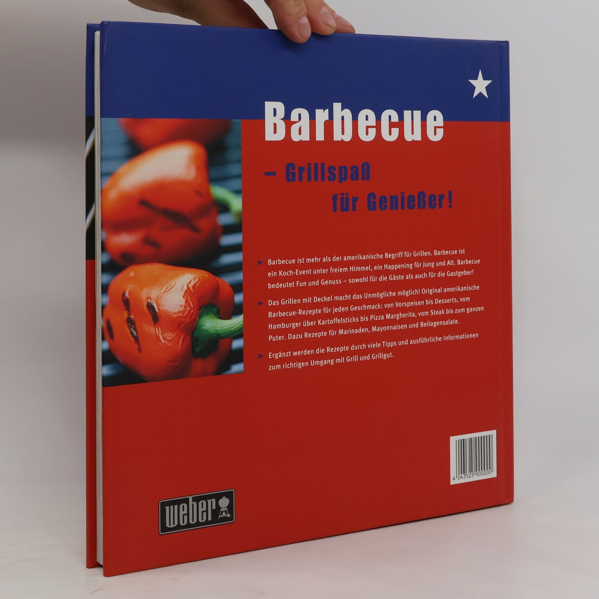 Matthew Drennan Das Barbecue-Buch