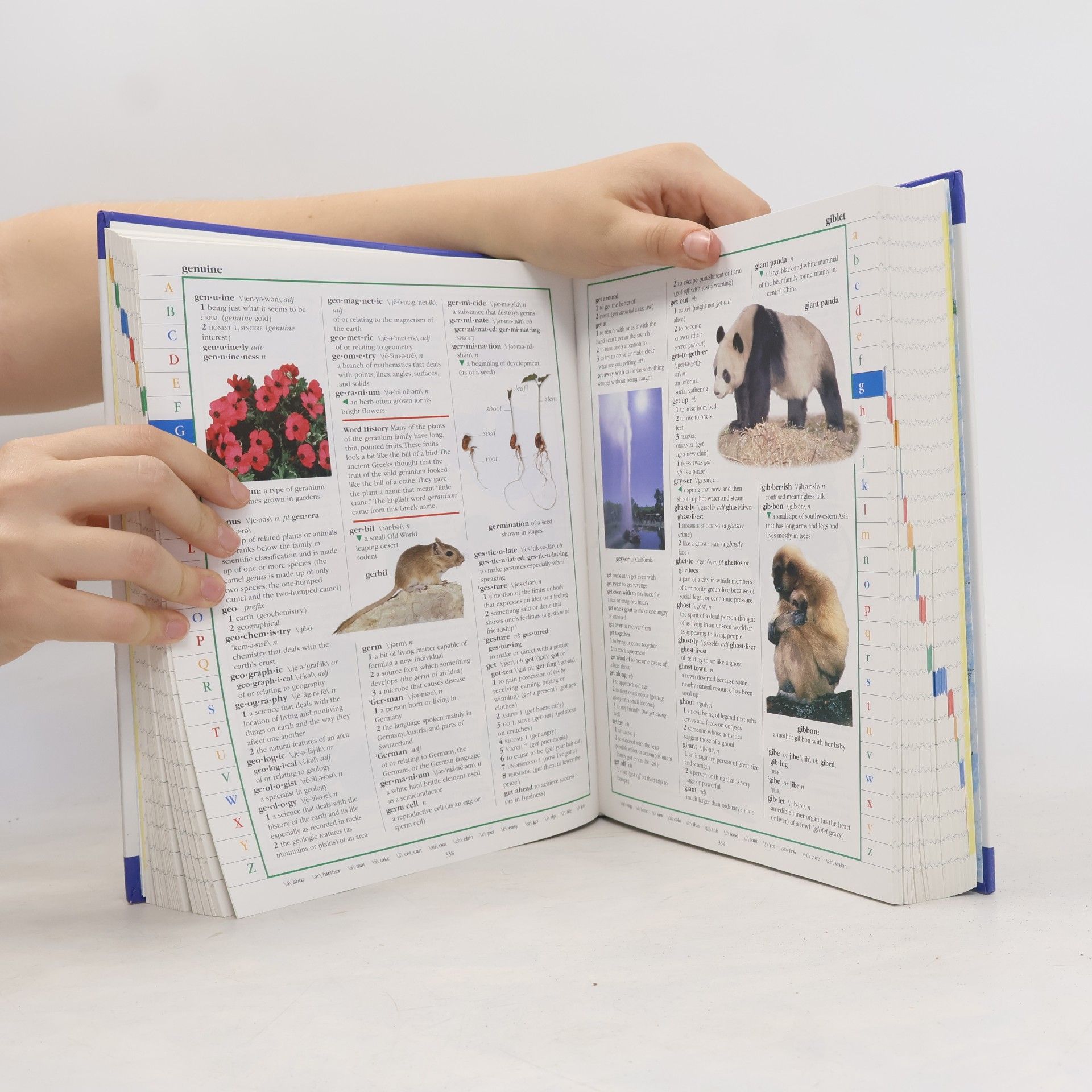 Dorling Kindersley Merriam-Webster Children's Dictionary