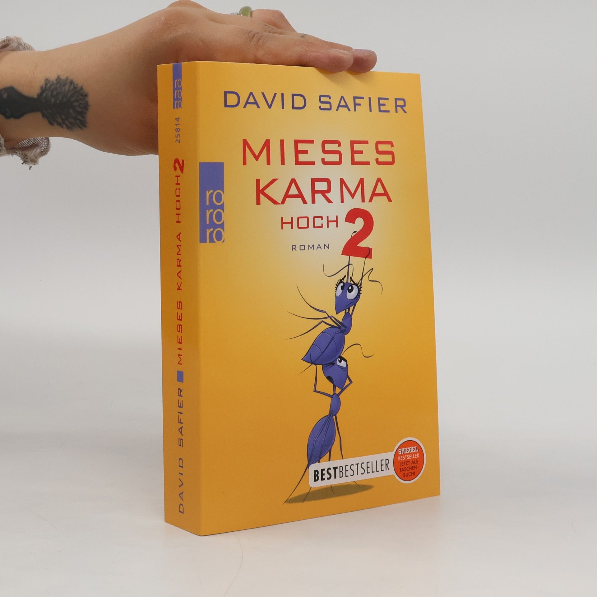 David Safier Mieses Karma hoch 2