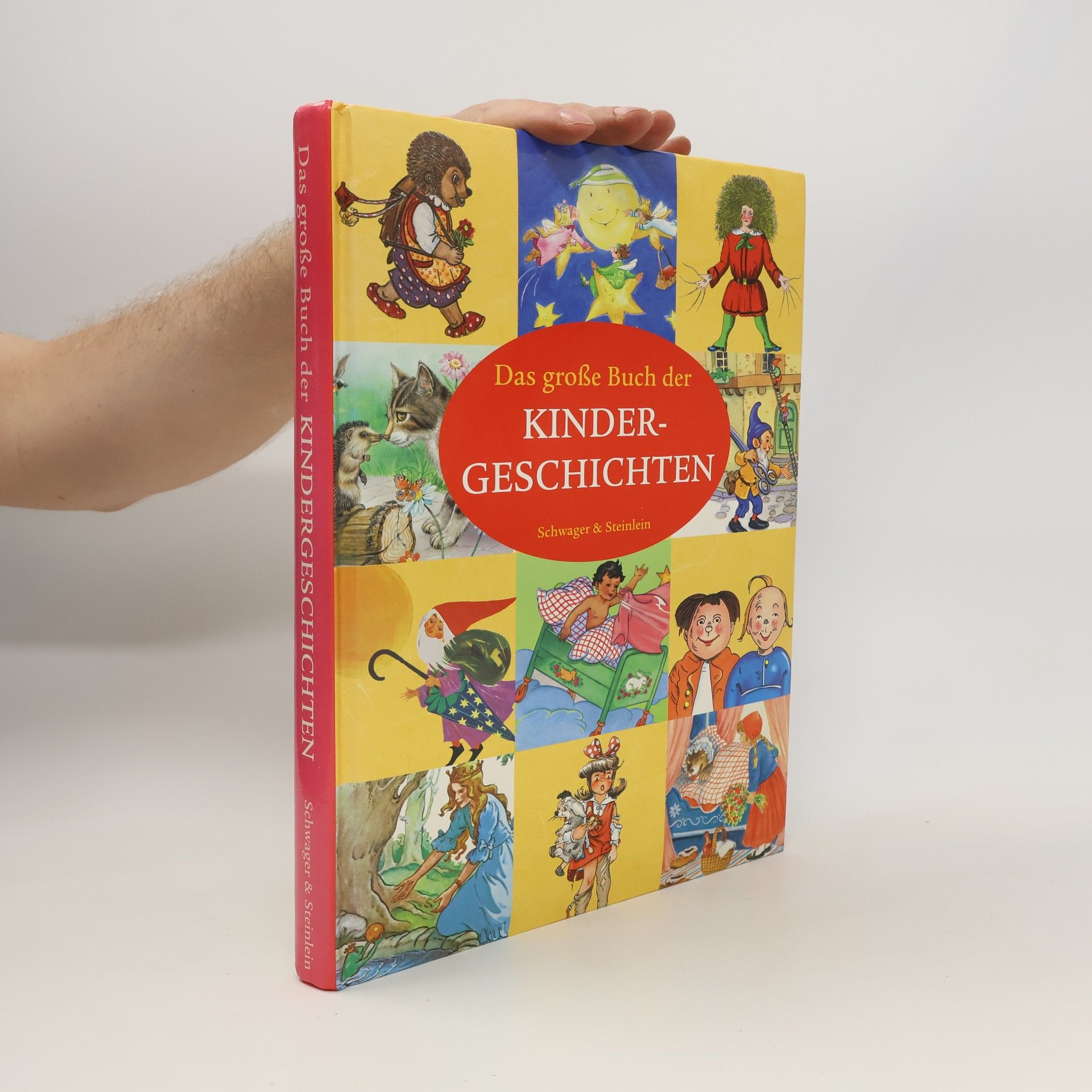 Autores varios Das grosse Buch der Kindergeschichten