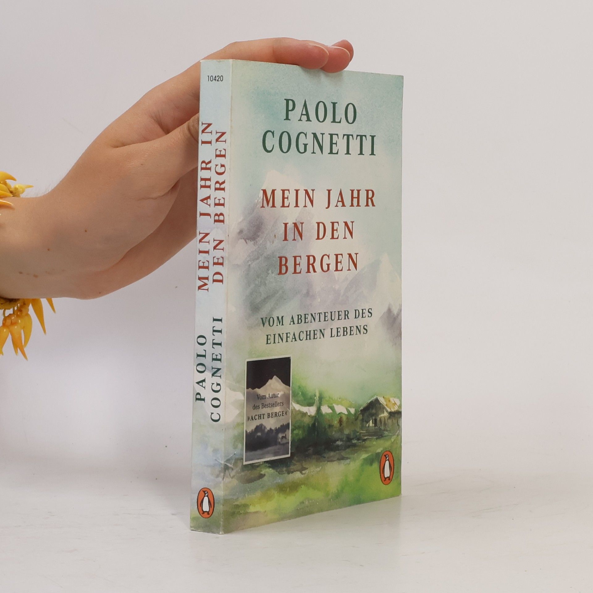 Paolo Cognetti Mein Jahr in den Bergen