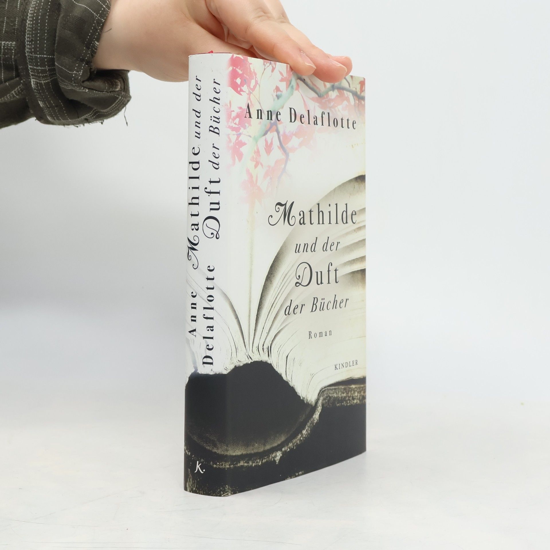 Anne Delaflotte Mehdevi Mathilde und der Duft der Bücher