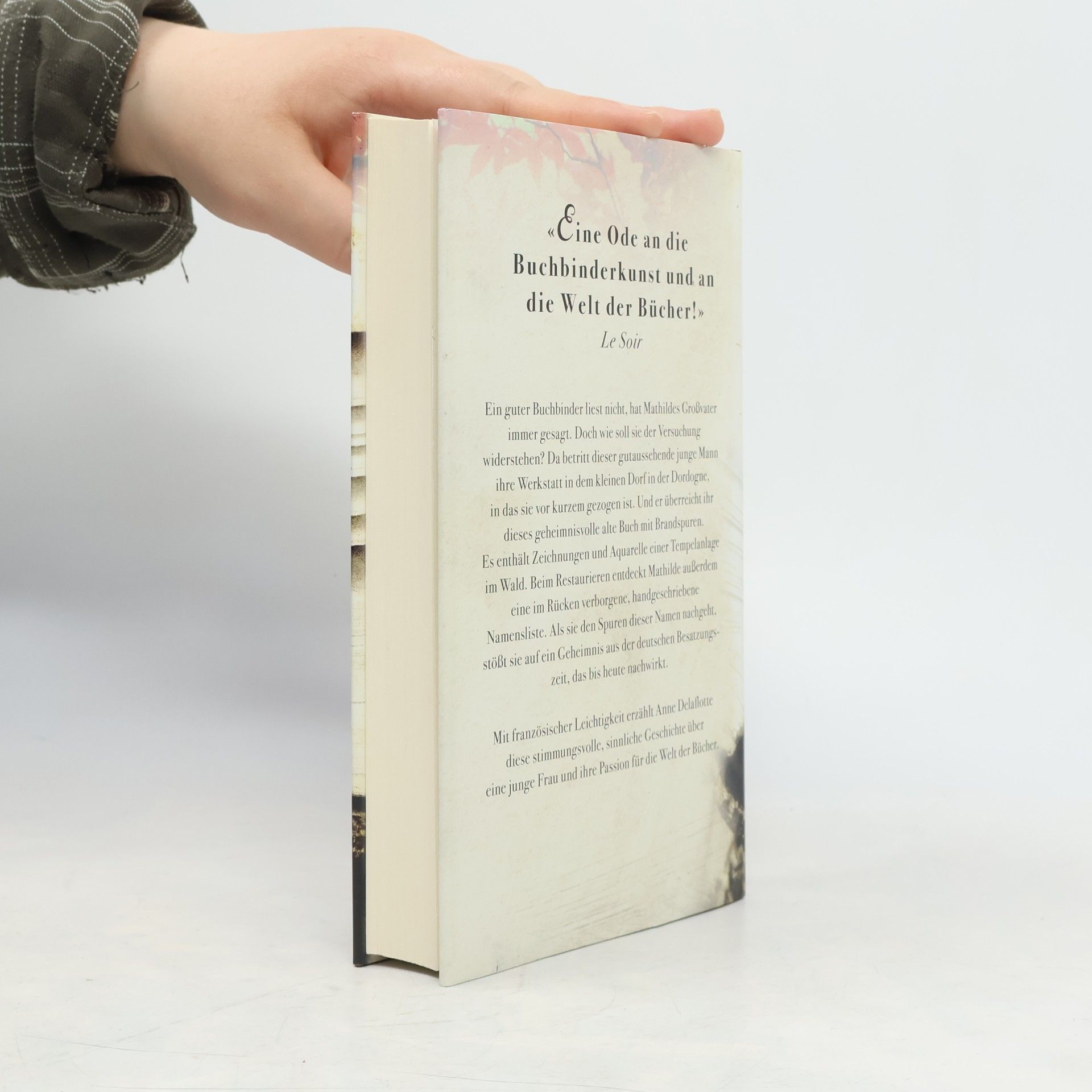 Anne Delaflotte Mehdevi Mathilde und der Duft der Bücher