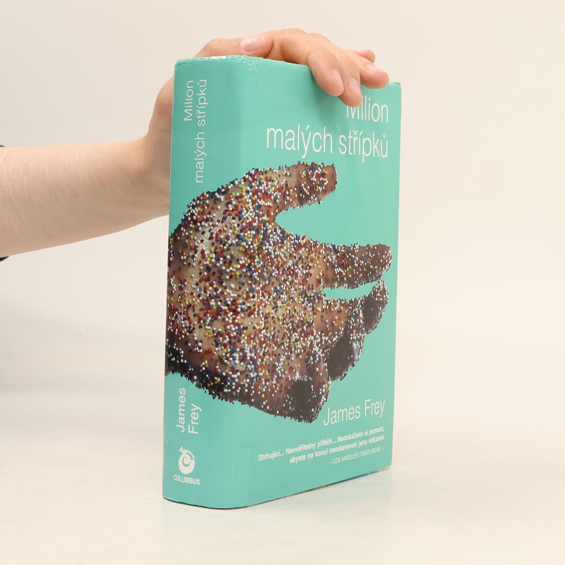 James Frey Milion malých střípků