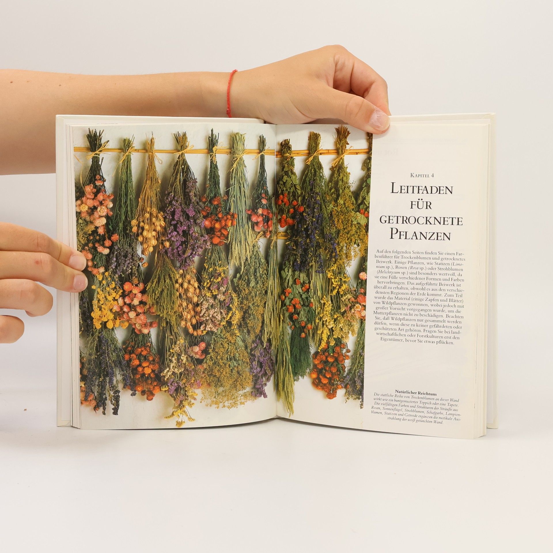 Edith Bora-Haber Gestalten mit Blumen