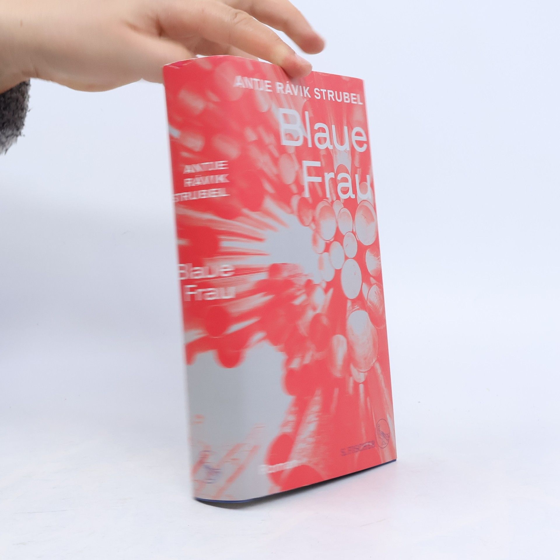 Antje Rávic Strubel Blaue Frau