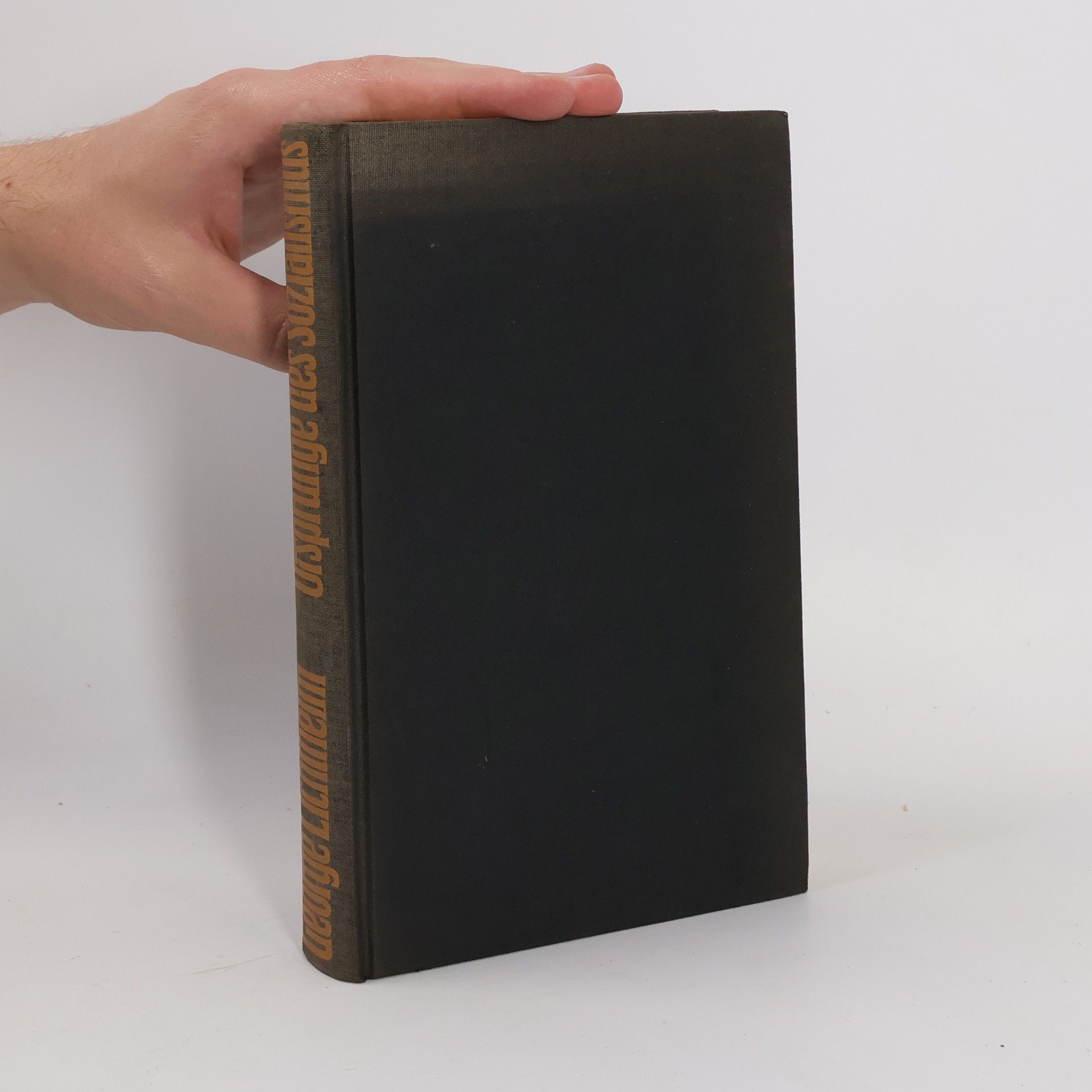 George Lichtheim Ursprünge des sozialismus