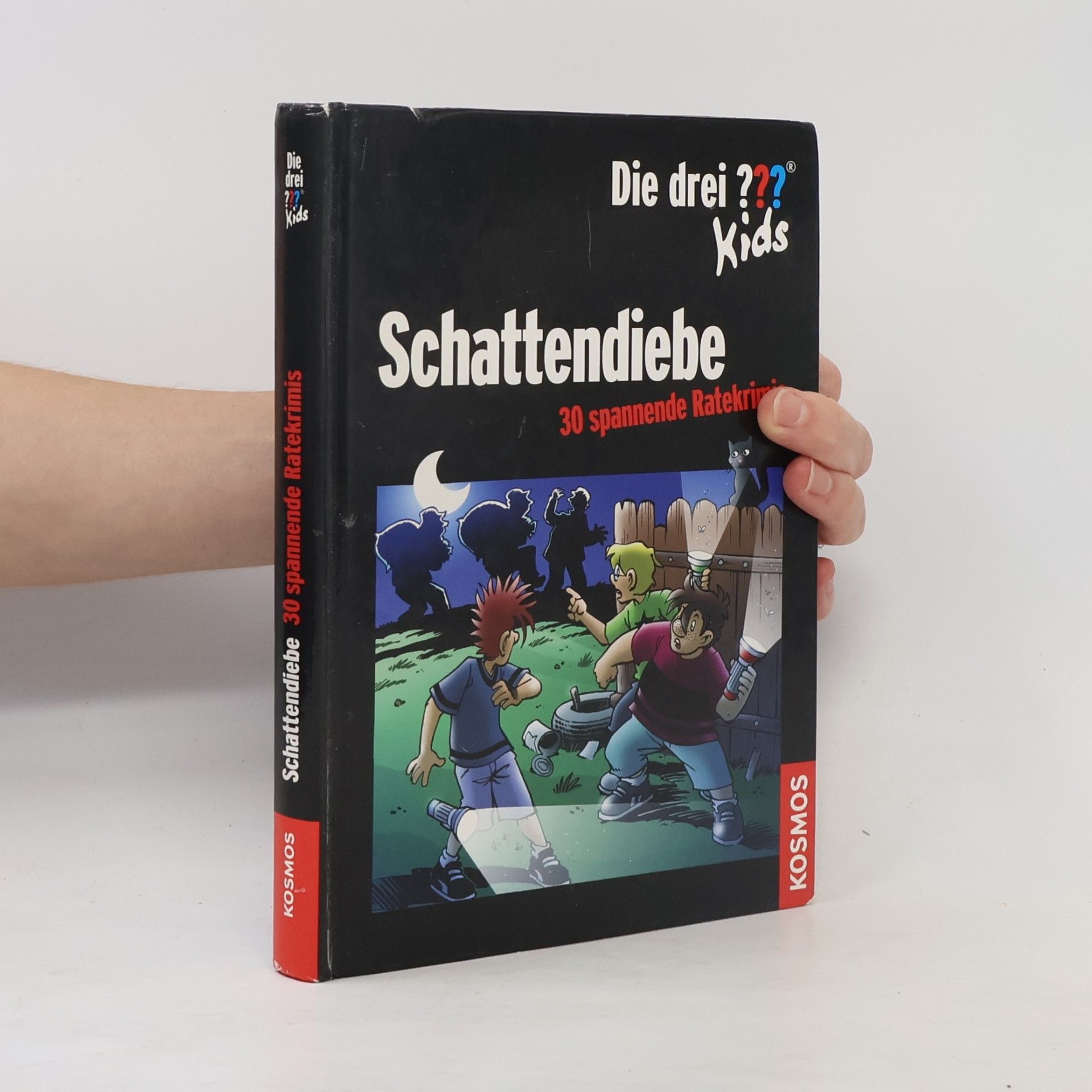 Ulf Blanck Die drei ??? - Kids - Schattendiebe