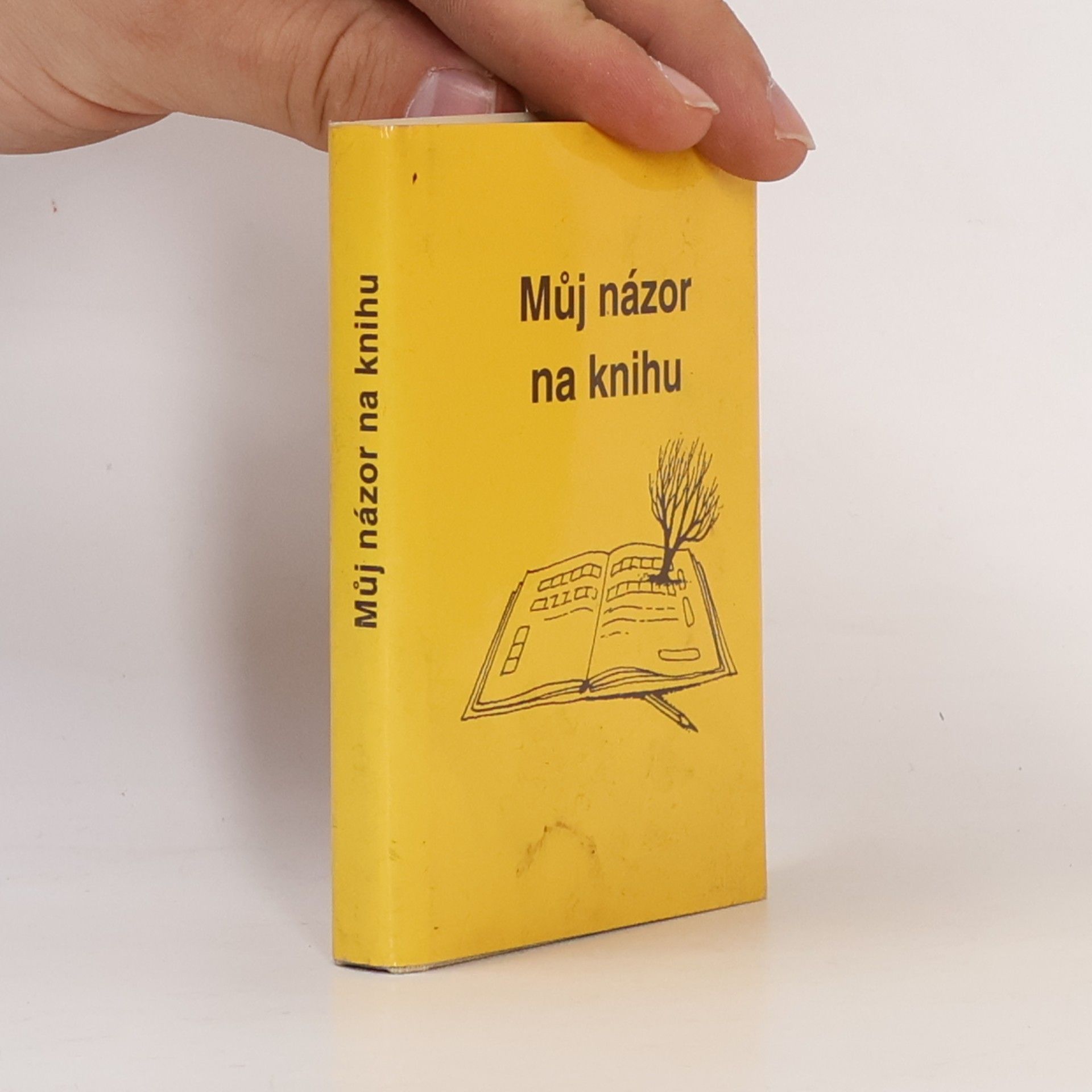 Vratislav Ebr Můj názor na knihu