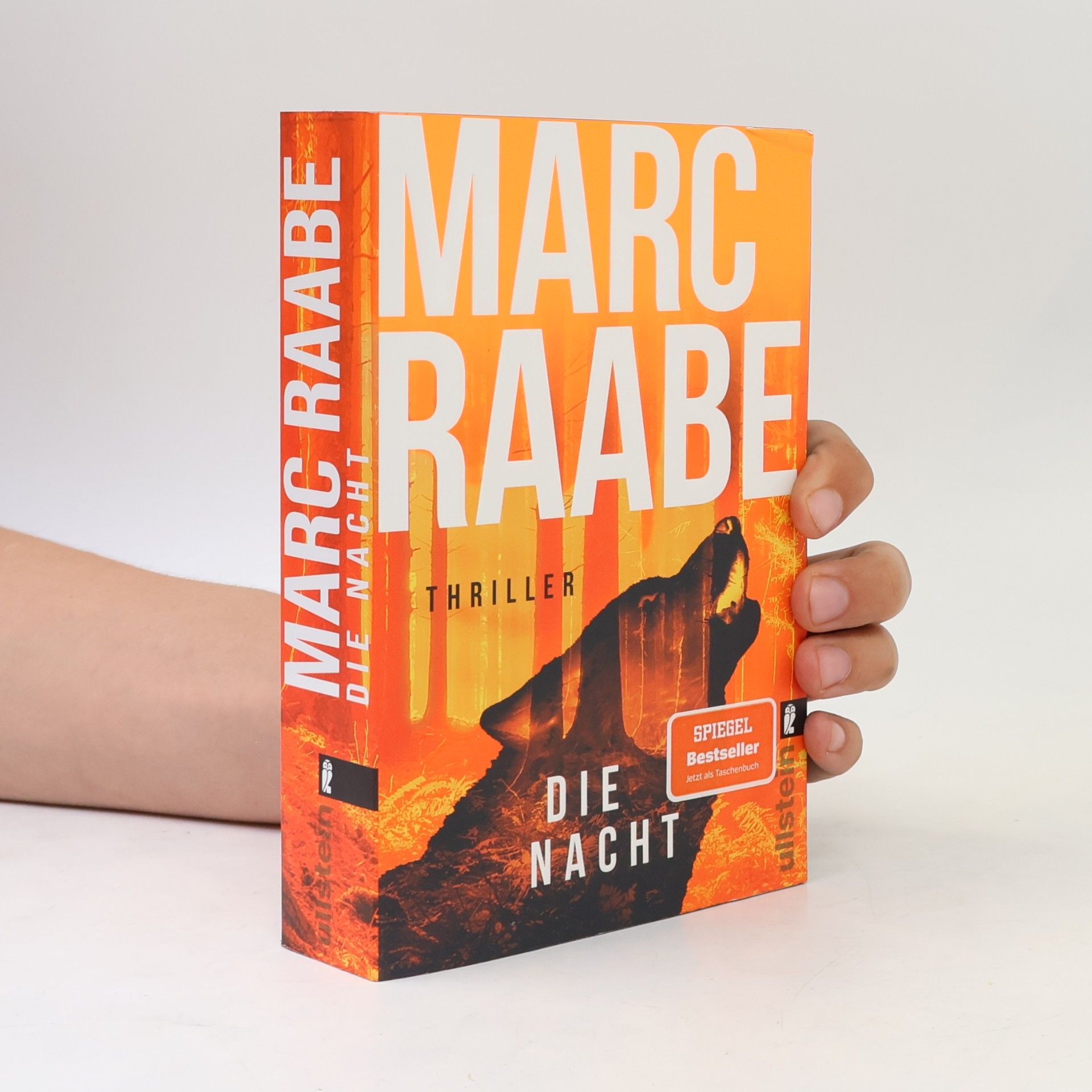 Marc Raabe Art Mayer-Serie - 3: Die Nacht
