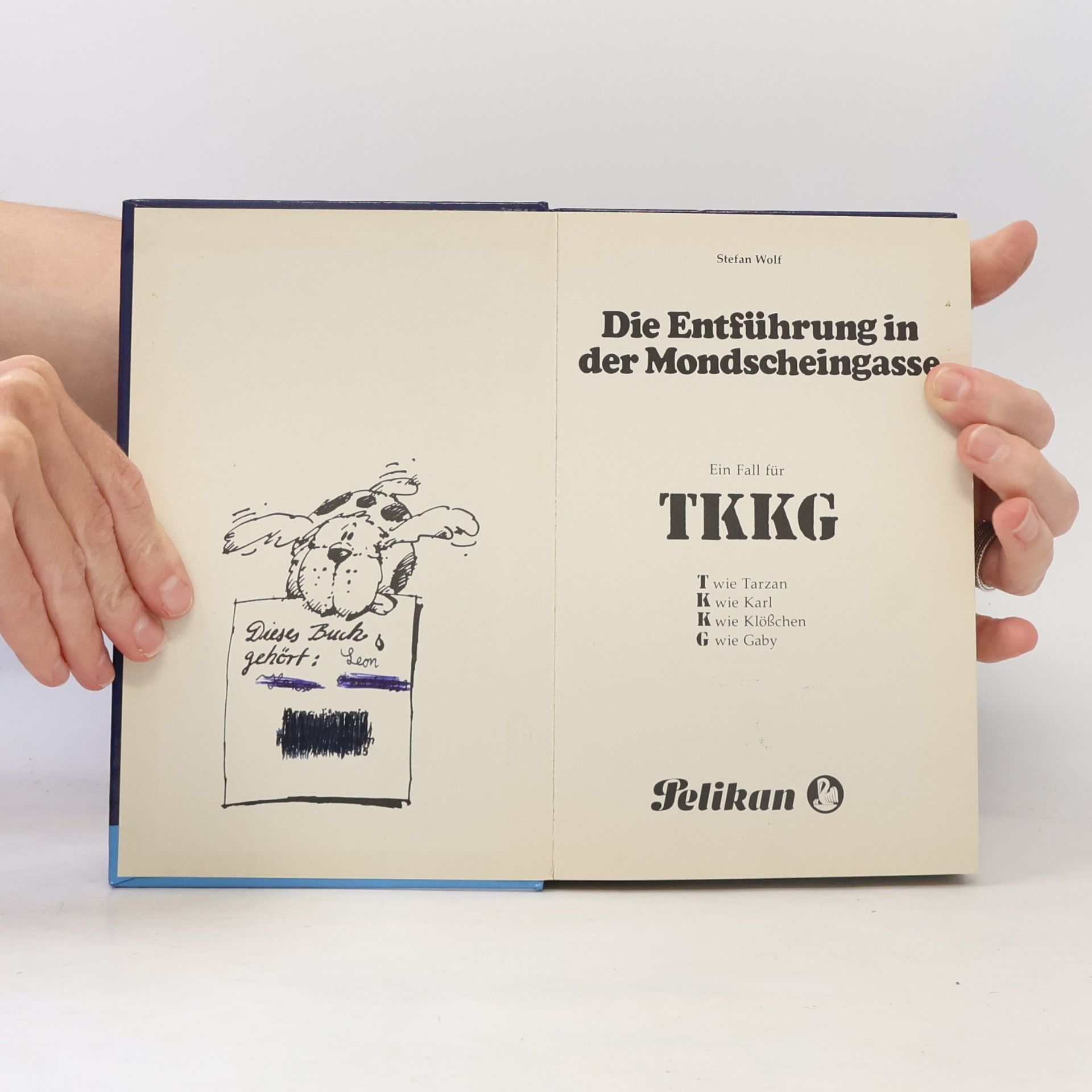 Stefan Wolf Ein Fall für TKKG, Bd.31. Die Entführung in der Mondscheingasse
