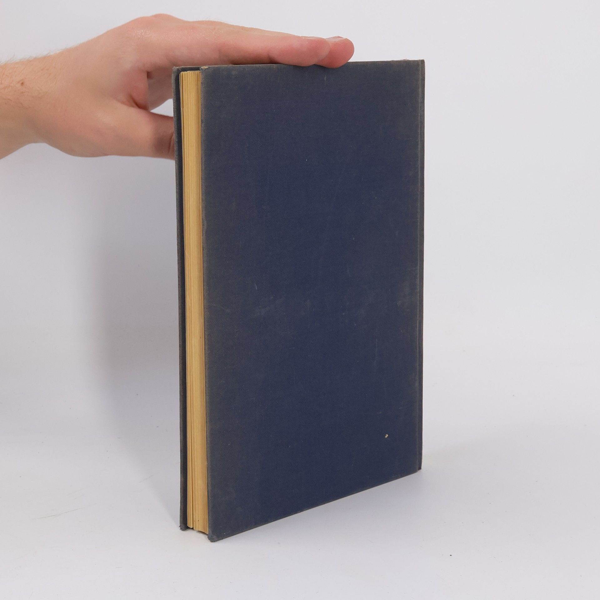 Walter Hofer Geschichte zwischen Philosophie und Politik