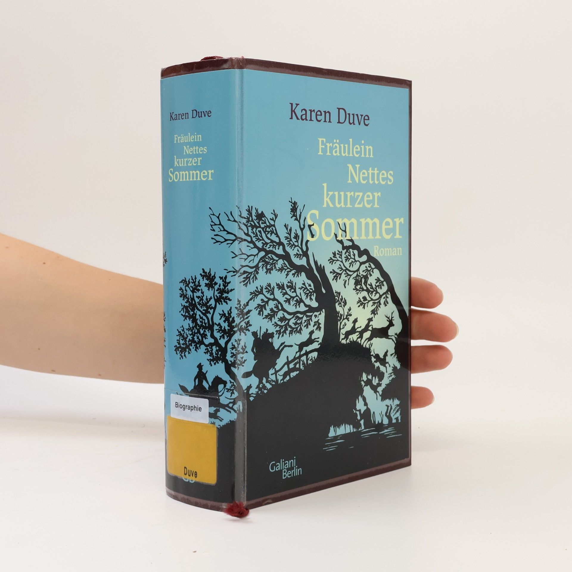 Karen Duve Fräulein Nettes kurzer Sommer