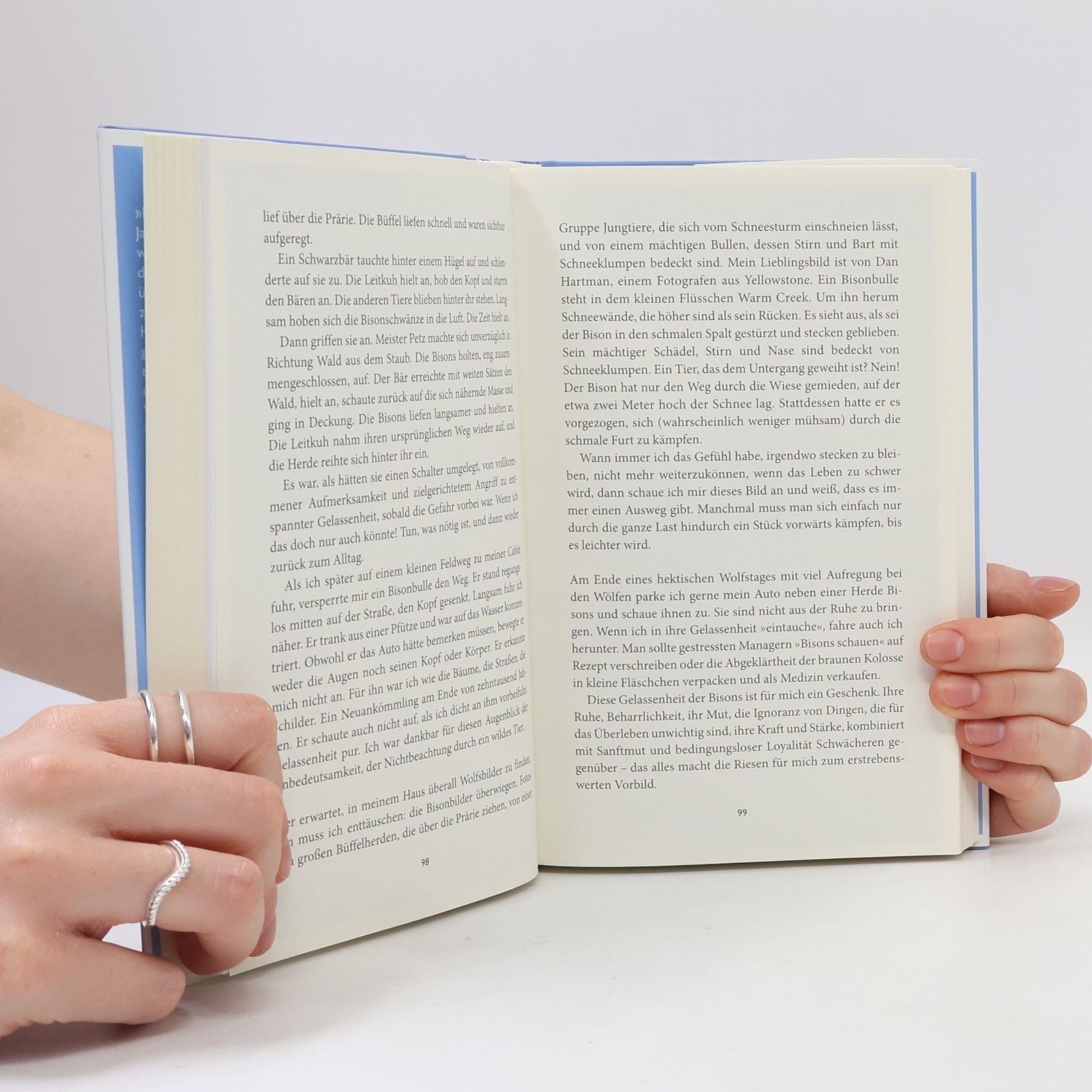 Elli H. Radinger Das Geschenk der Wildnis