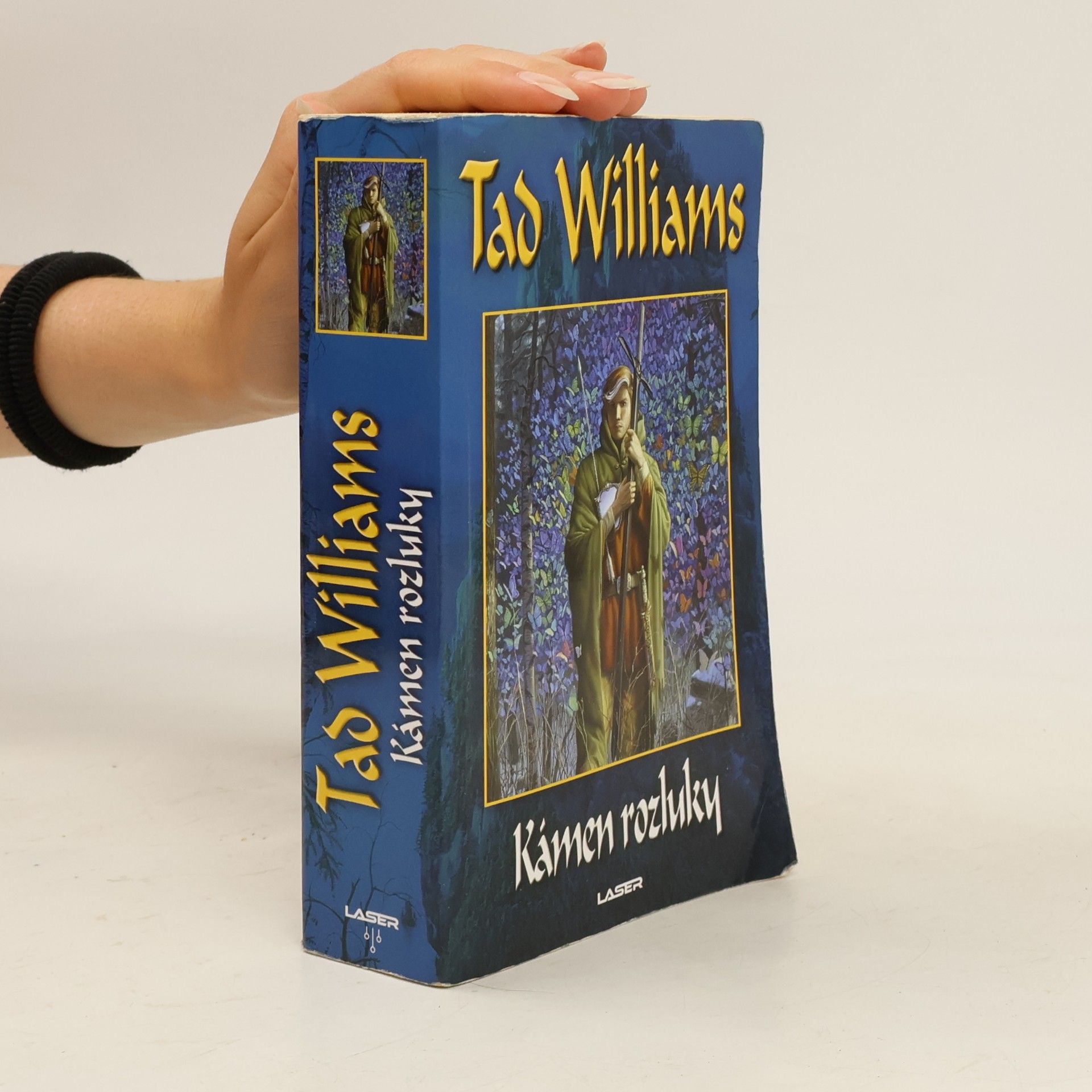 Tad Williams Kámen rozluky