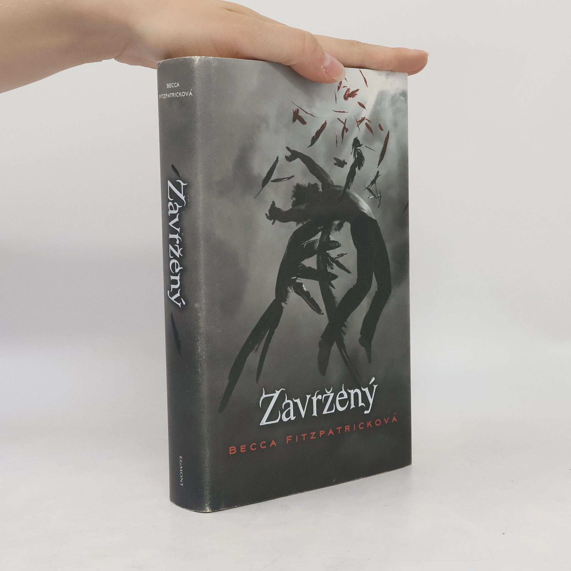 Becca Fitzpatrick Zavržený