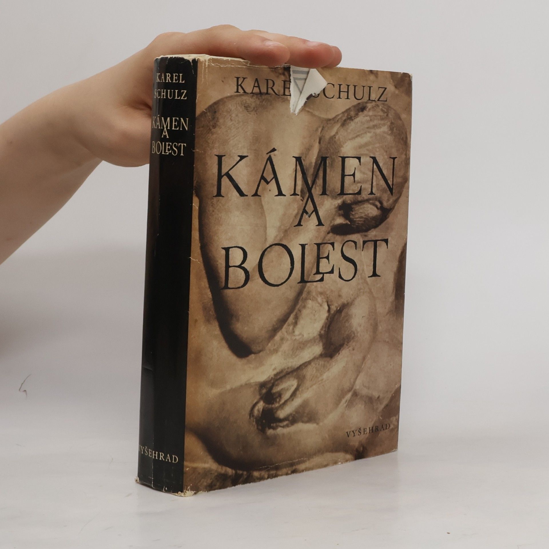Karel Schulz Kámen a bolest