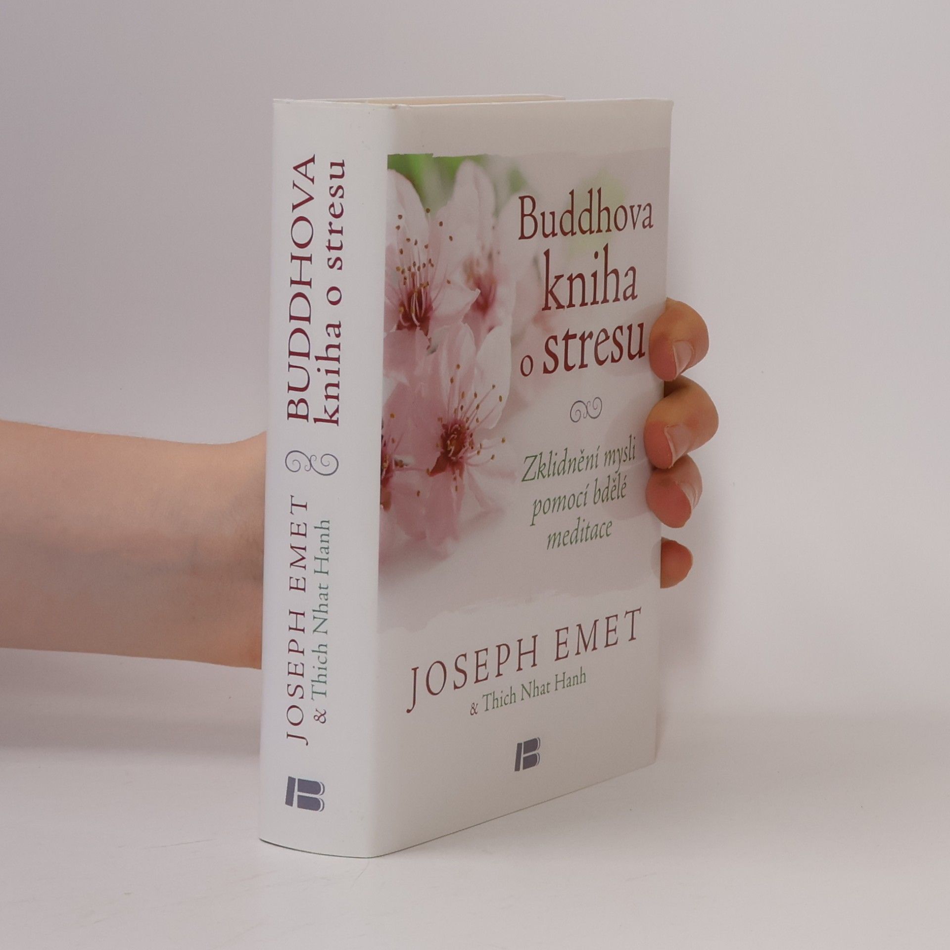 Thích Nhất Hạnh Buddhova kniha o stresu: Zklidnění mysli pomocí bdělé meditace