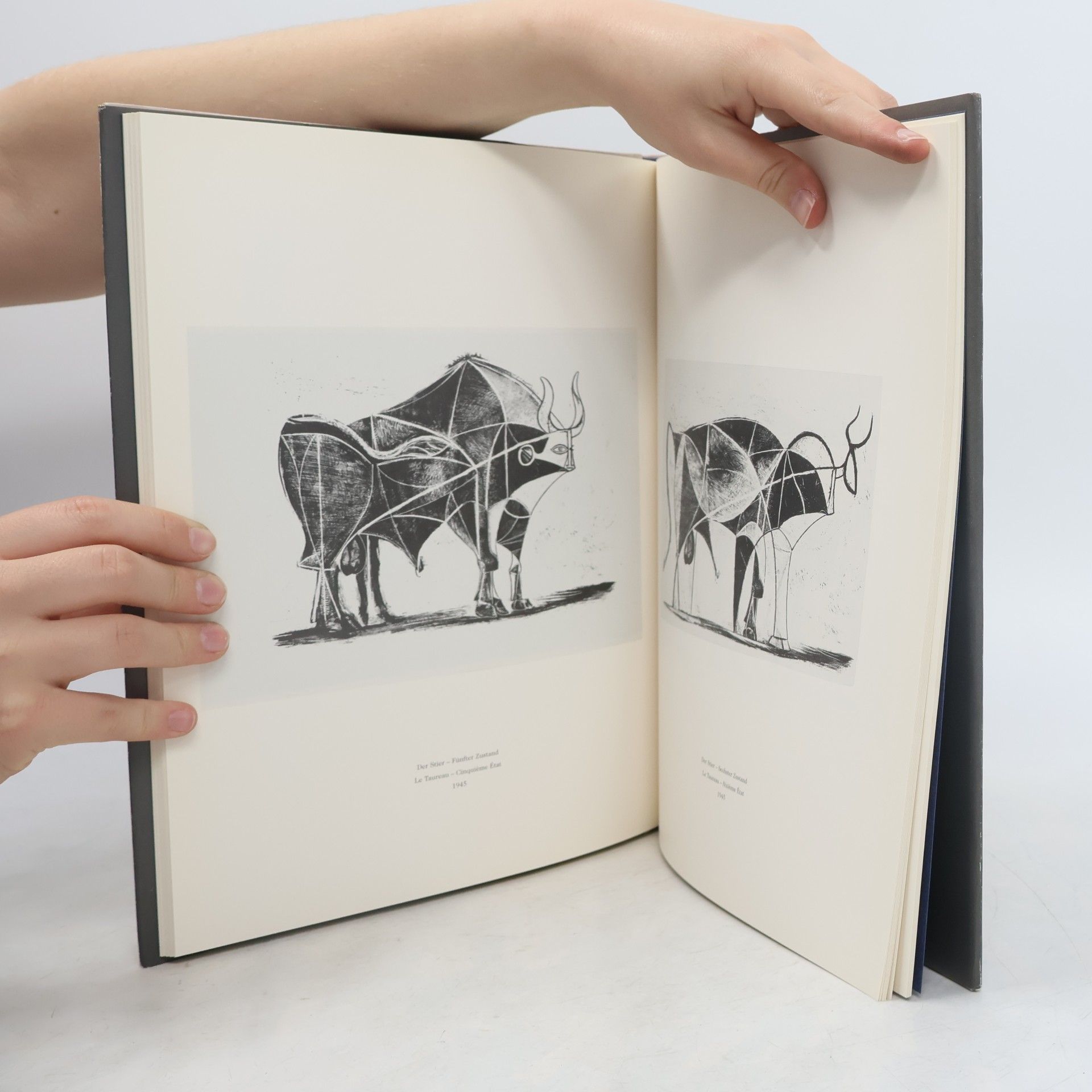Pablo Picasso Picasso, Der blinde Minotaurus