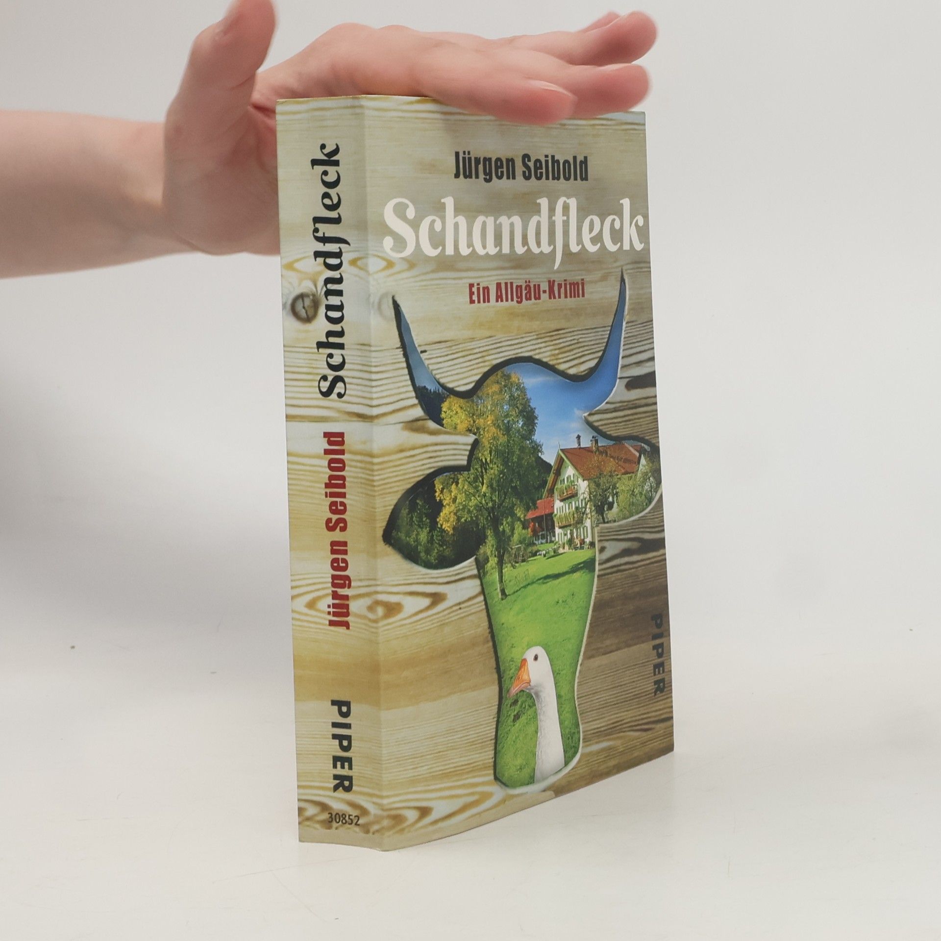 Jürgen Seibold Schandfleck