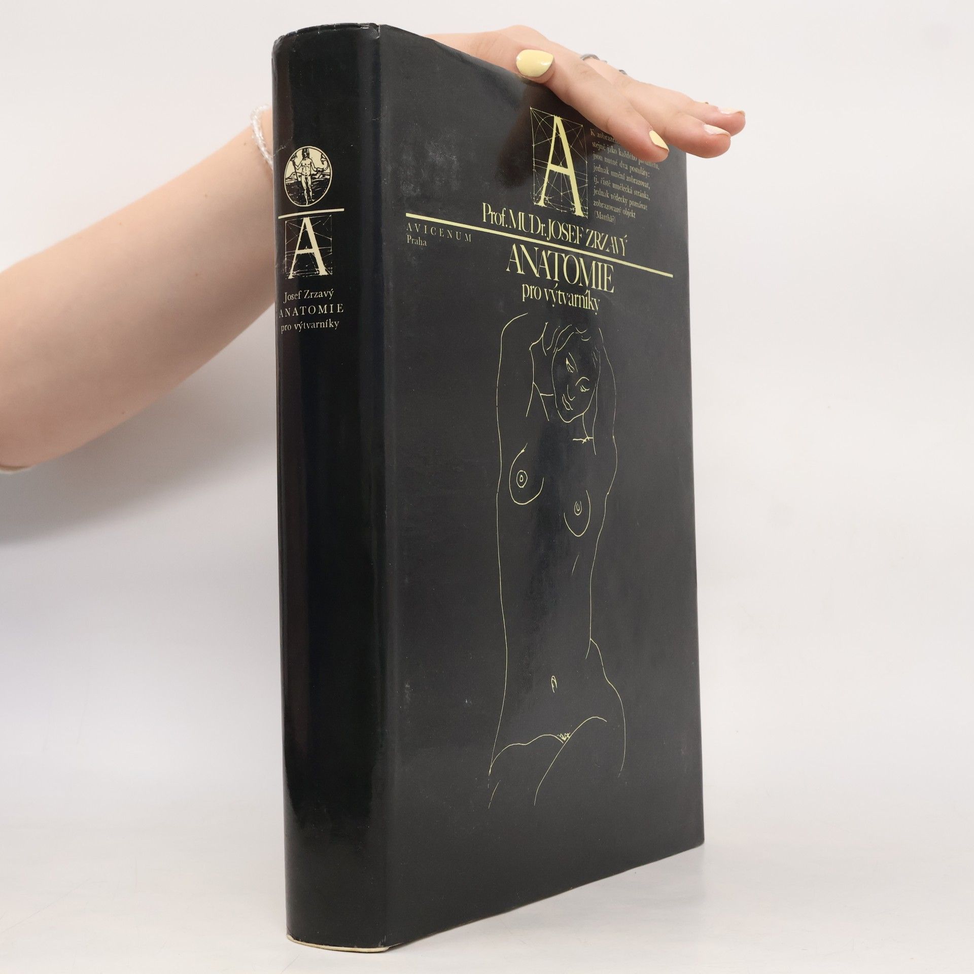 Anatomie pro výtvarníky