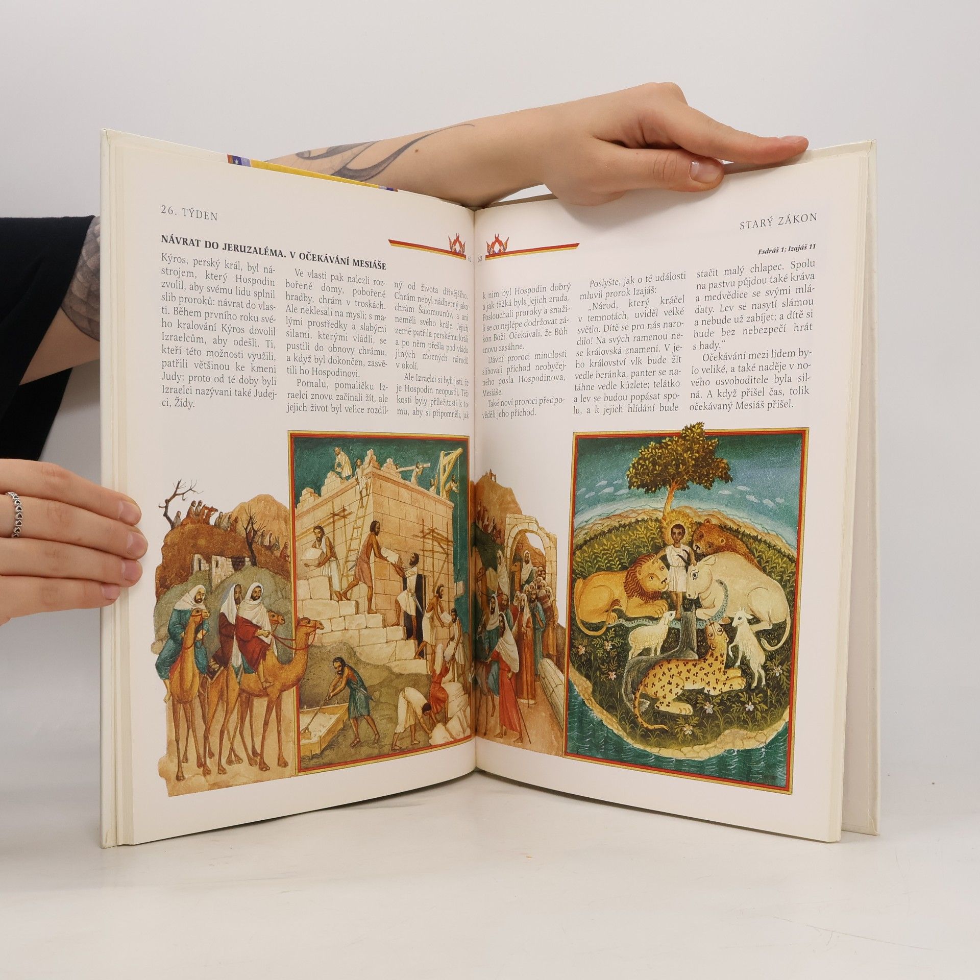Roberto Brunelli Bible svatá pro děti : příběhy na celý rok