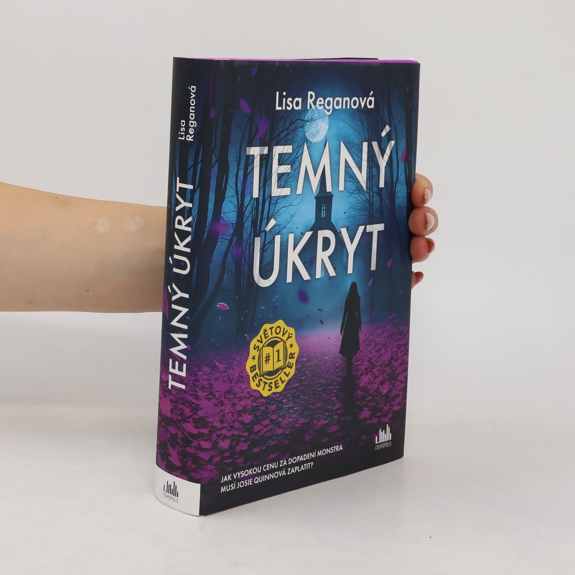 Lisa Regan Temný úkryt