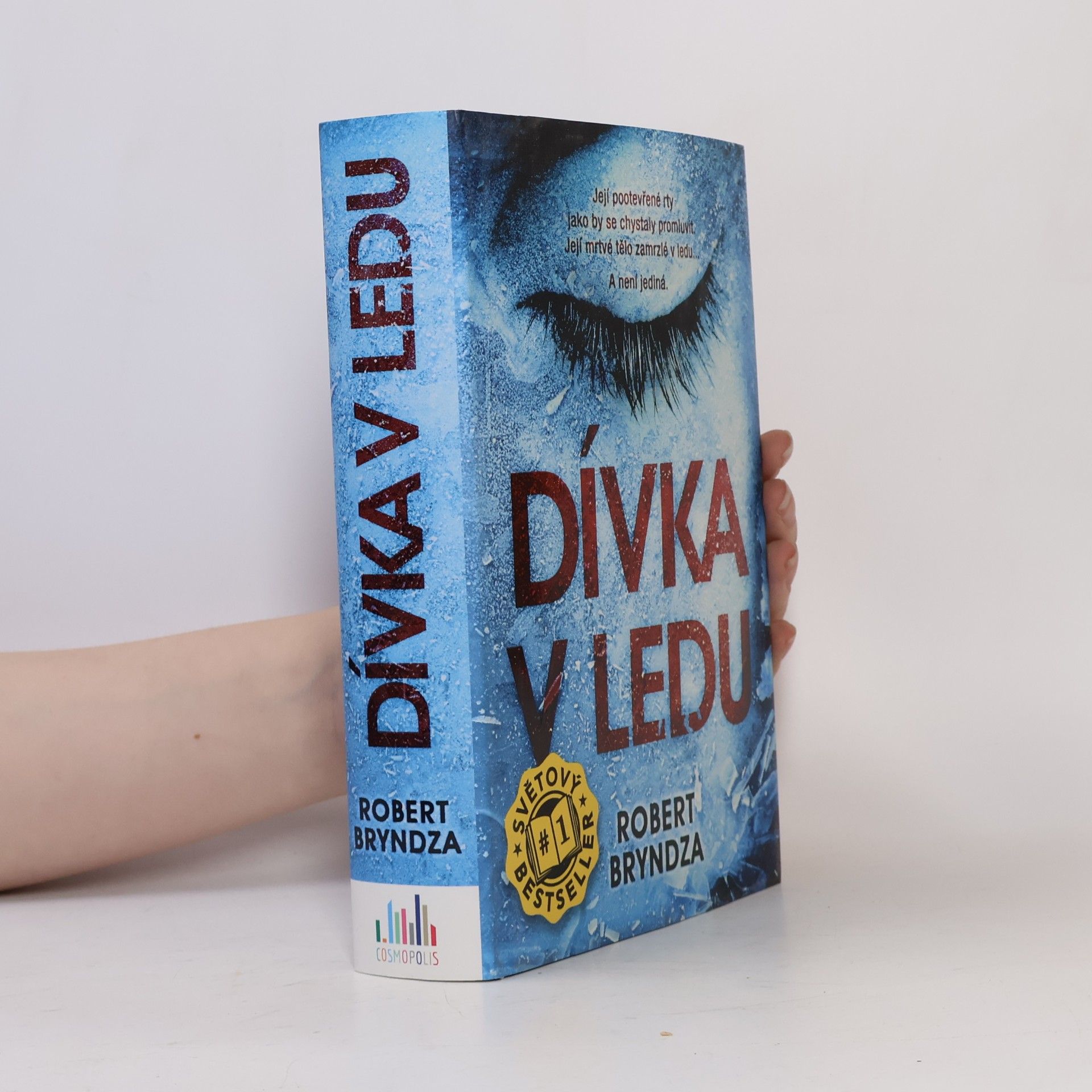 Robert Bryndza Dívka v ledu