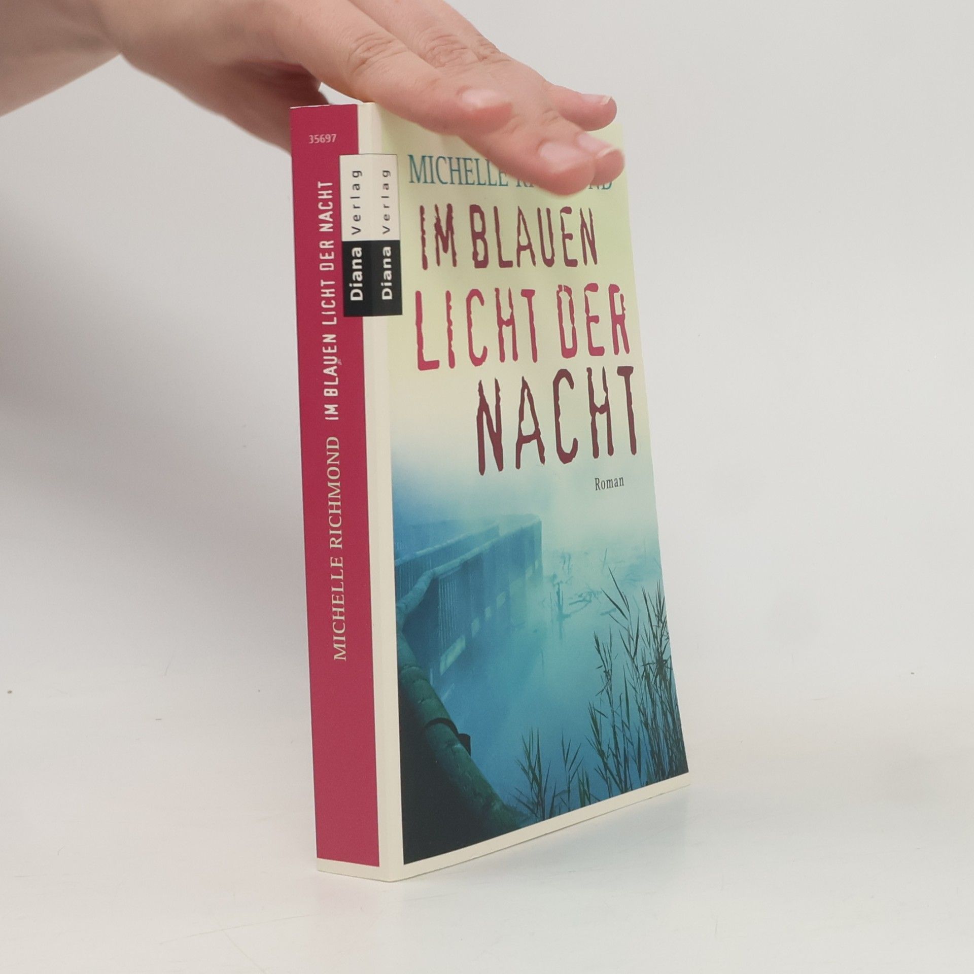 Michelle Richmond Im blauen Licht der Nacht