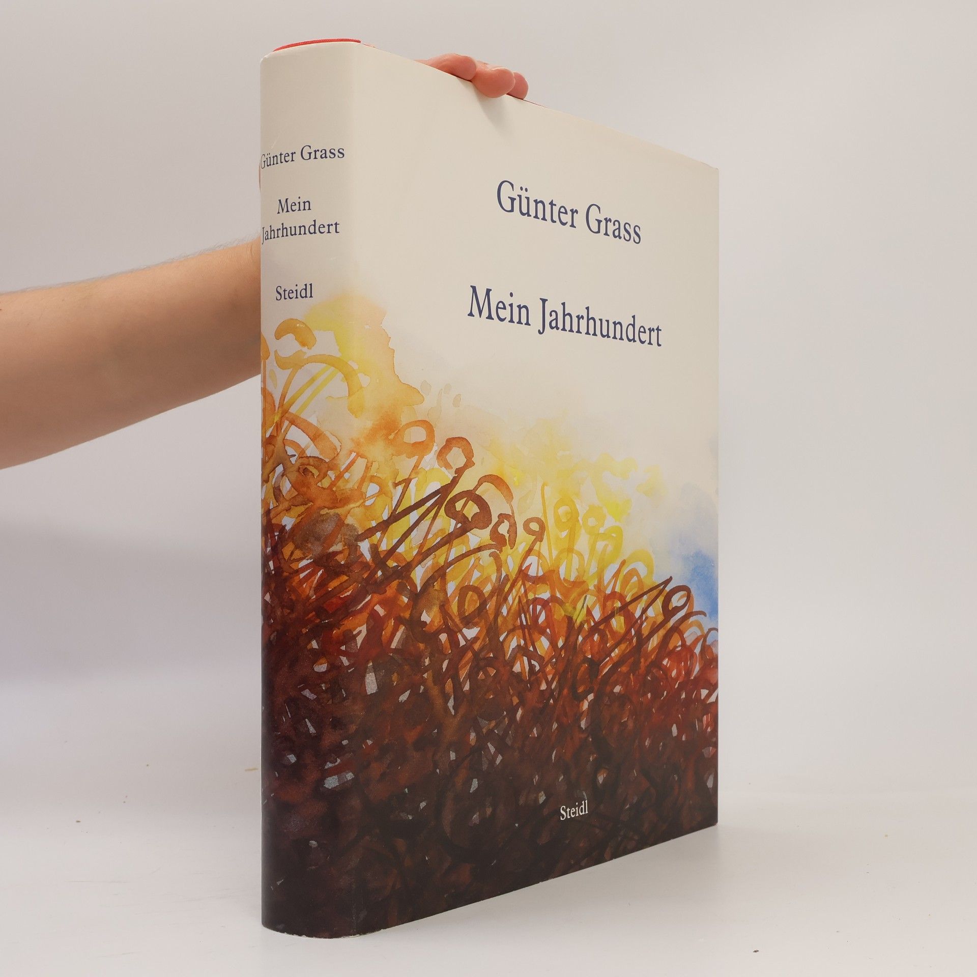 Günter Grass Mein Jahrhundert
