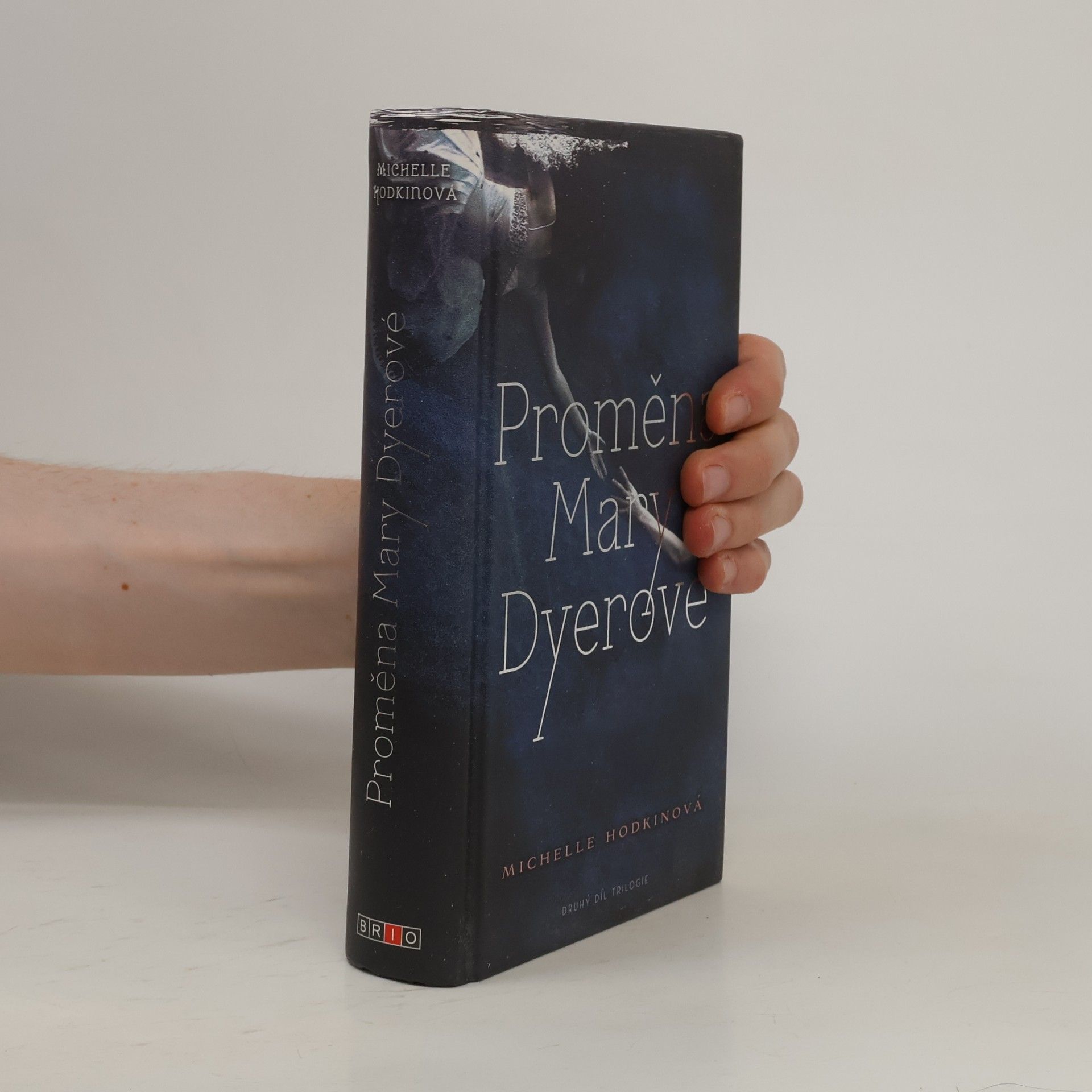 Michelle Hodkin Proměna Mary Dyerové