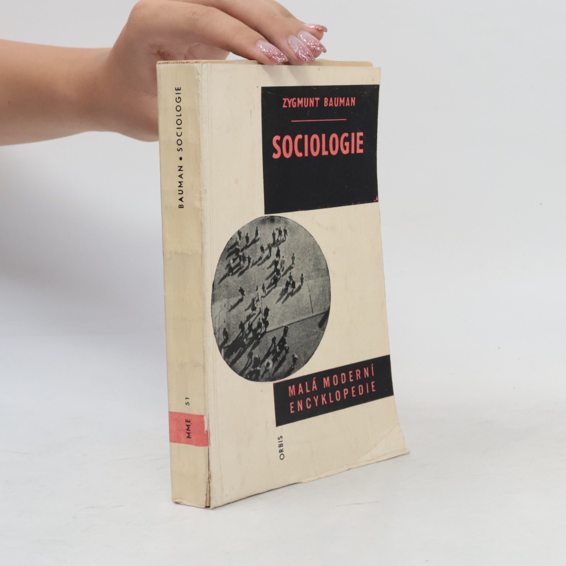 Zygmunt Bauman Sociologie