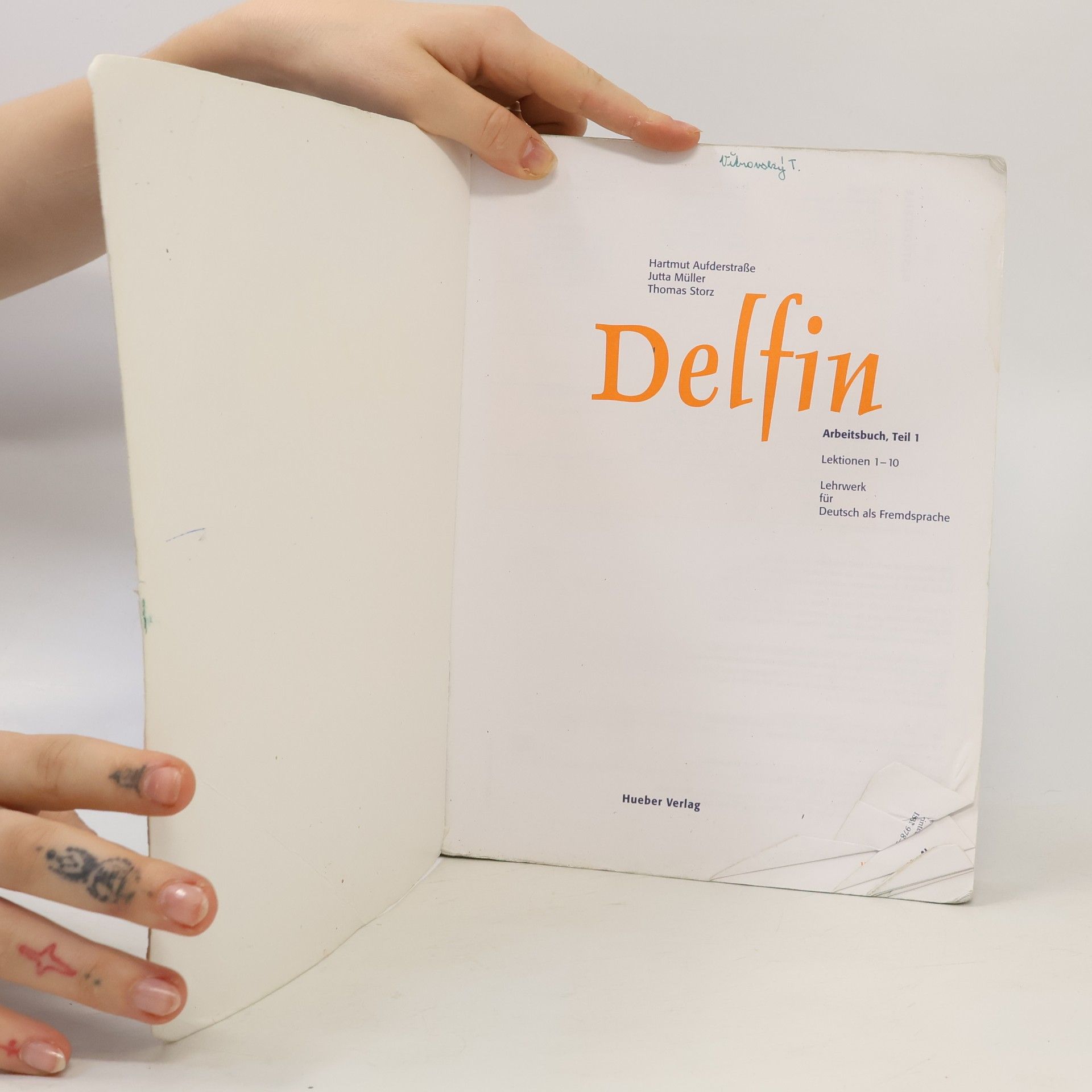 Hartmut Aufderstrasse Delfin 1: Arbeitsbuch: Lektionen 1-10 Teil 1
