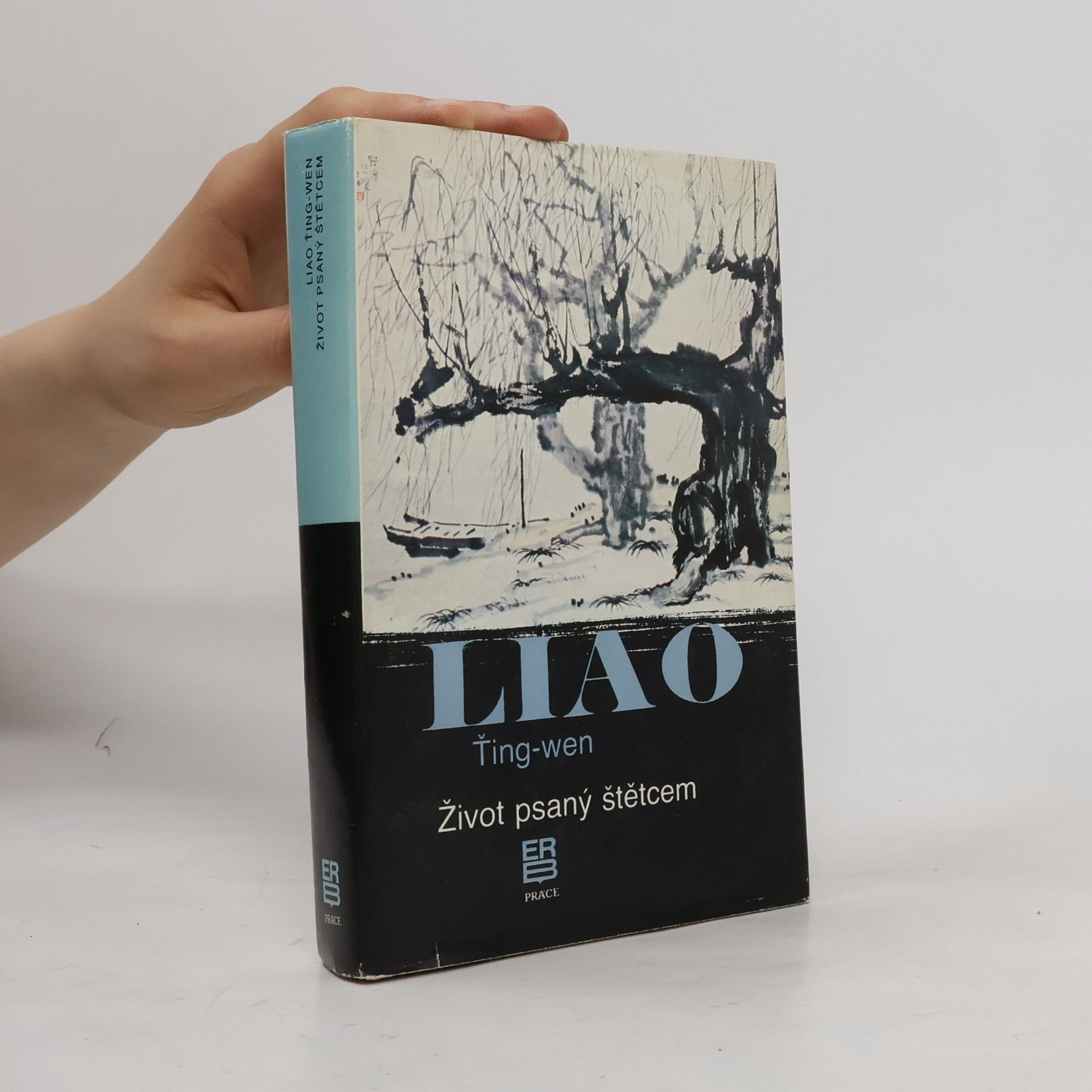 Ťing wen Liao Život psaný štětcem