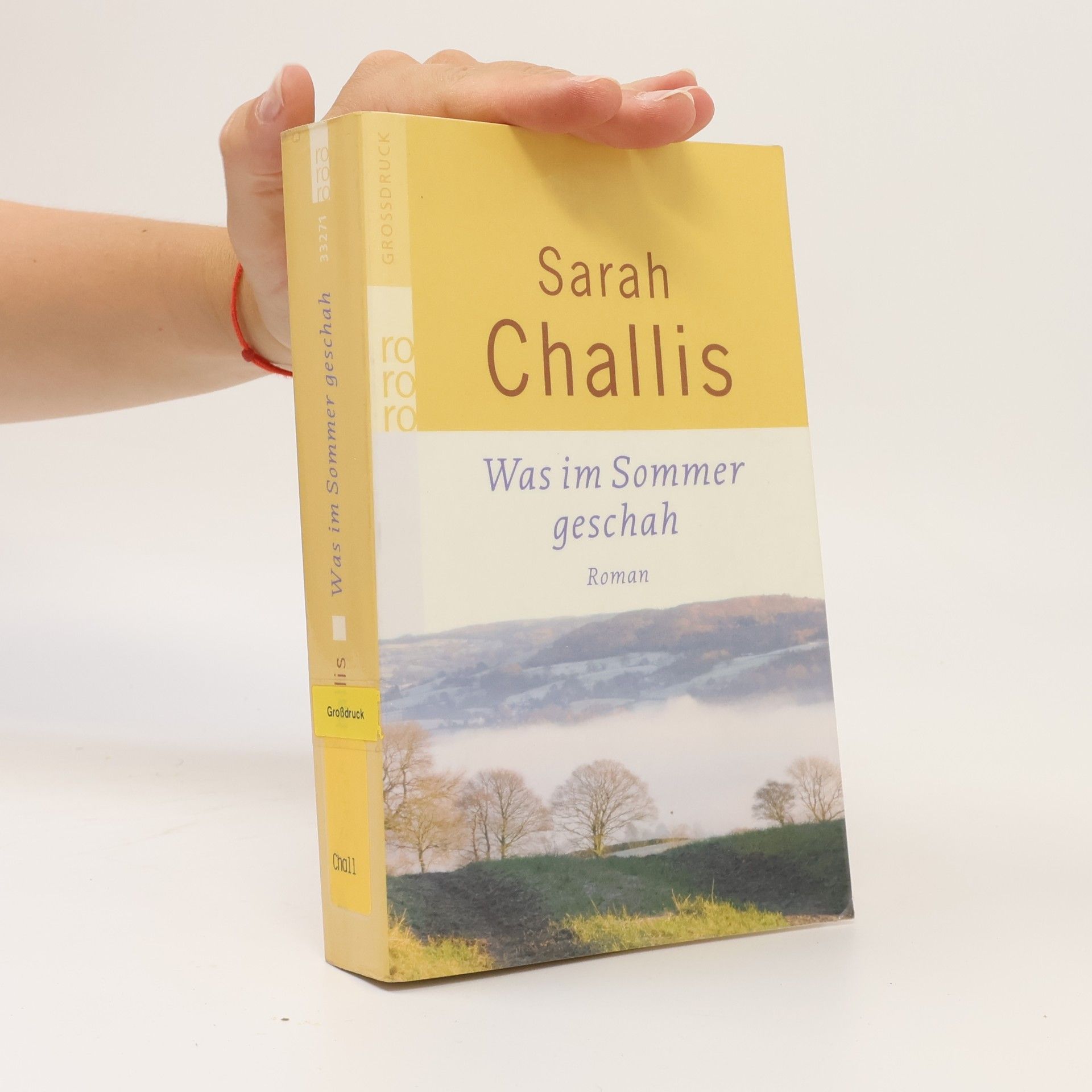 Sarah Challis Was im Sommer geschah