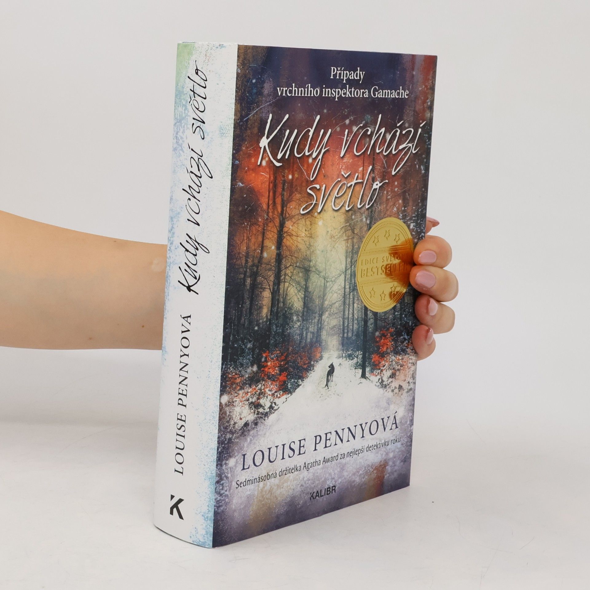 Louise Penny Kudy vchází světlo