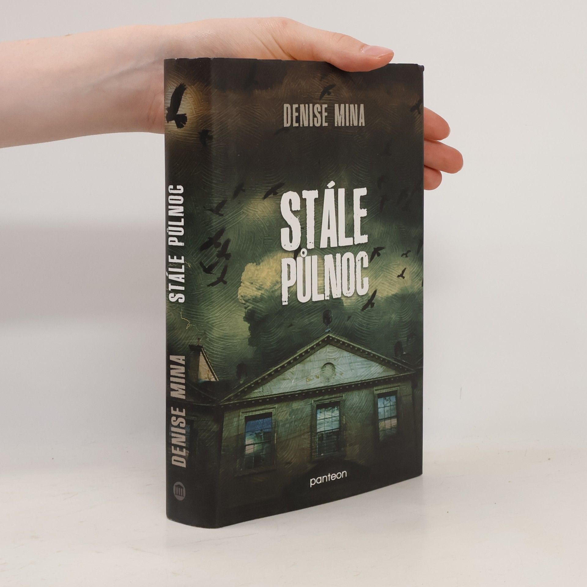 Denise Mina Stále půlnoc