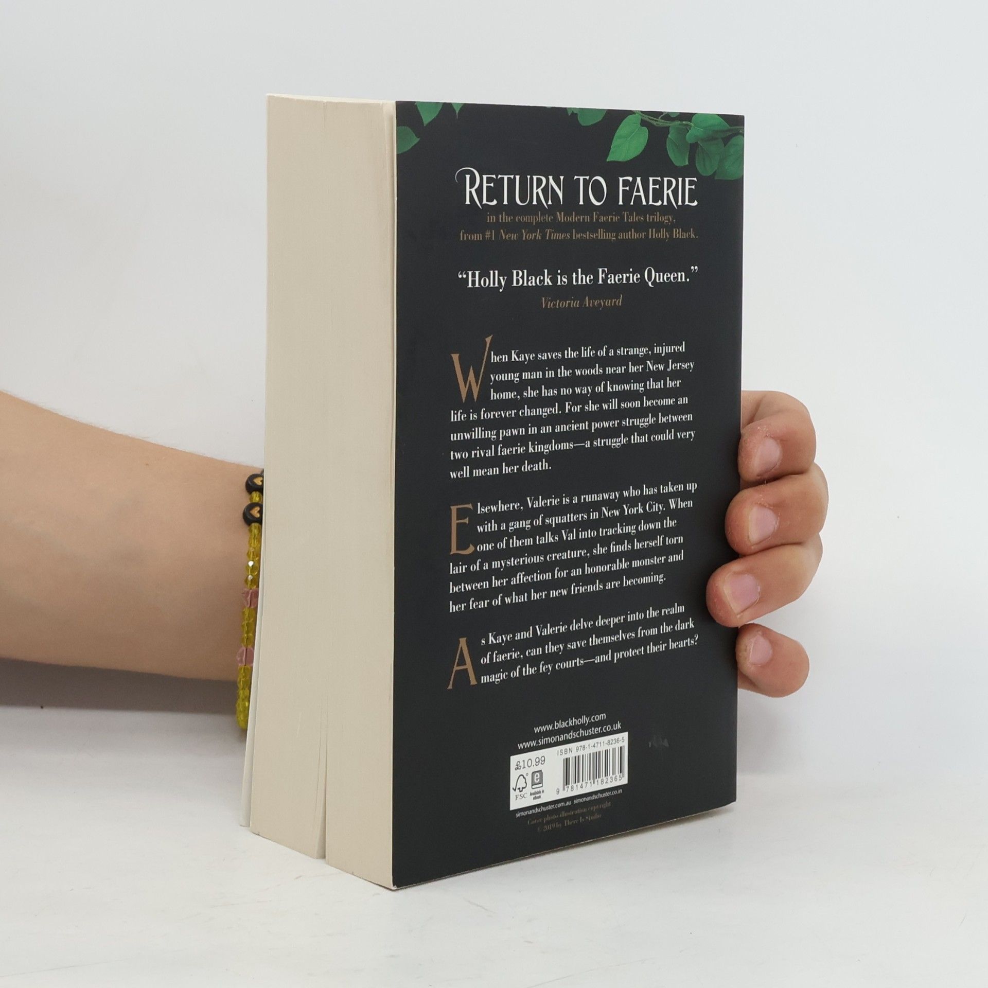 Holly Black The modern faerie tales
