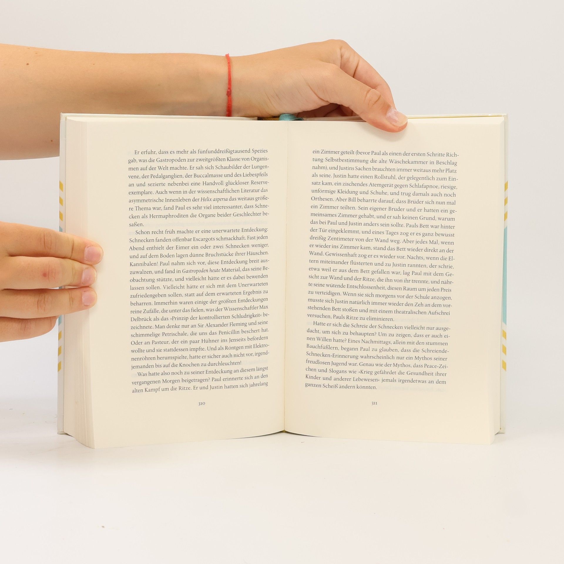 Elizabeth McKenzie Im Kern eine Liebesgeschichte