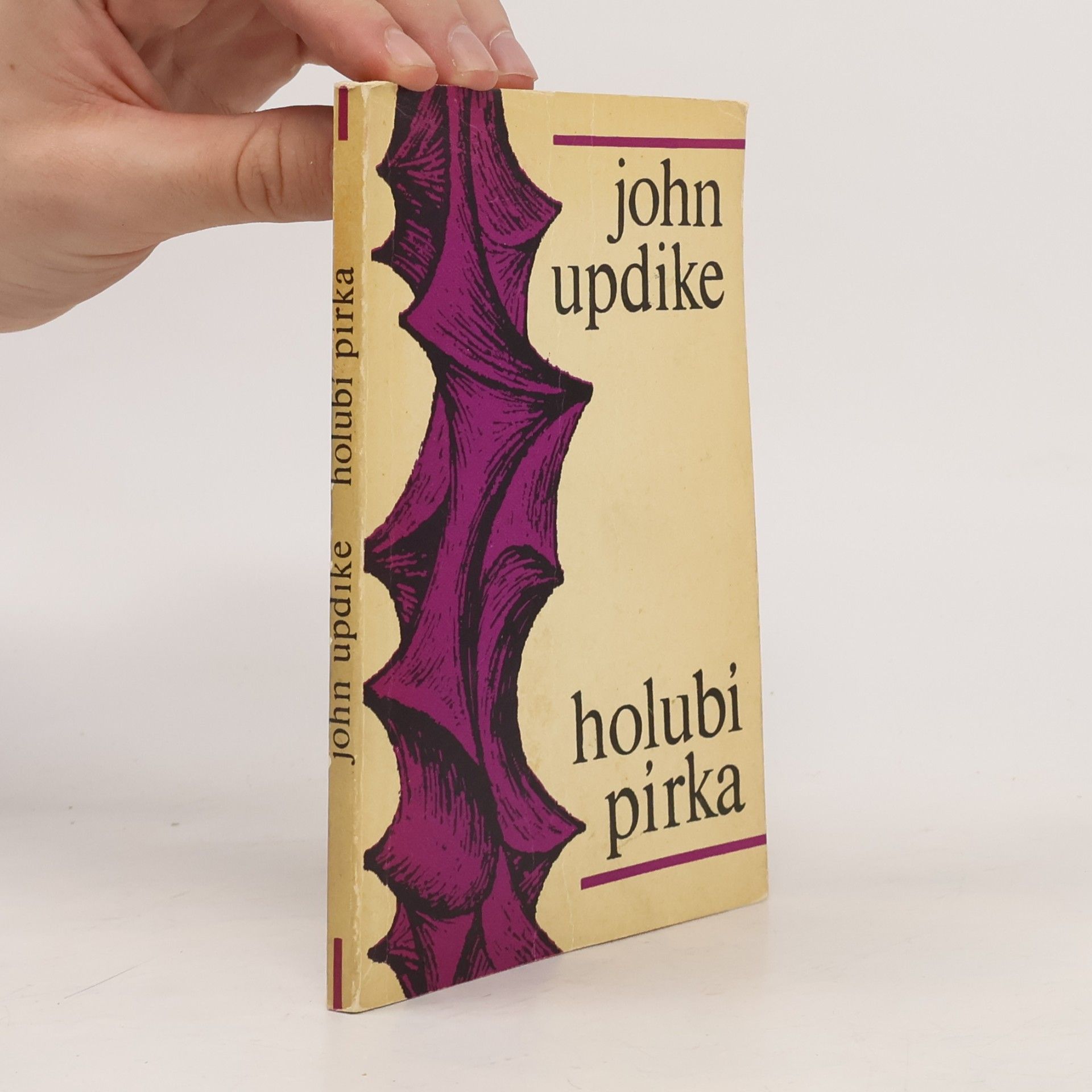 John Updike Holubí pírka
