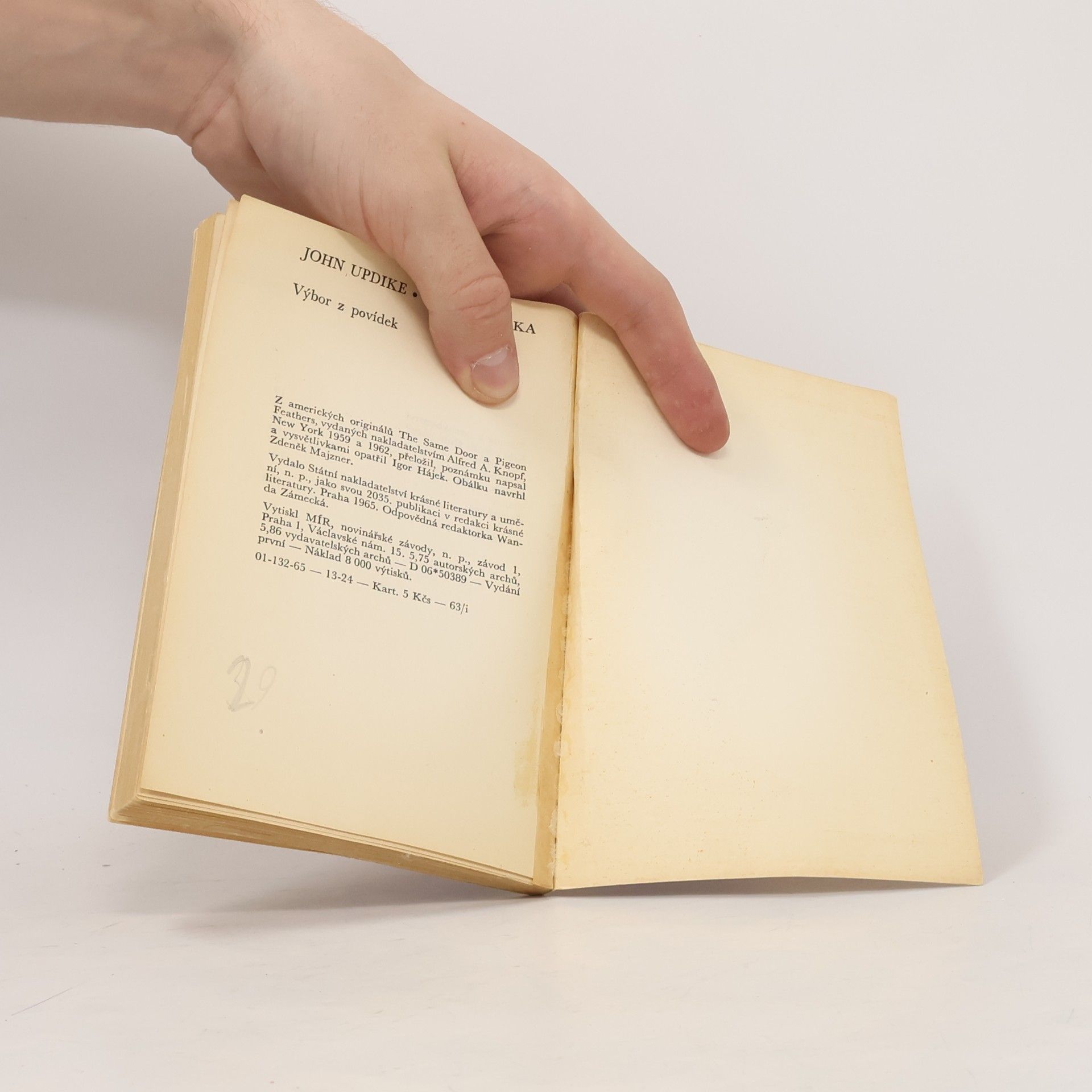 John Updike Holubí pírka