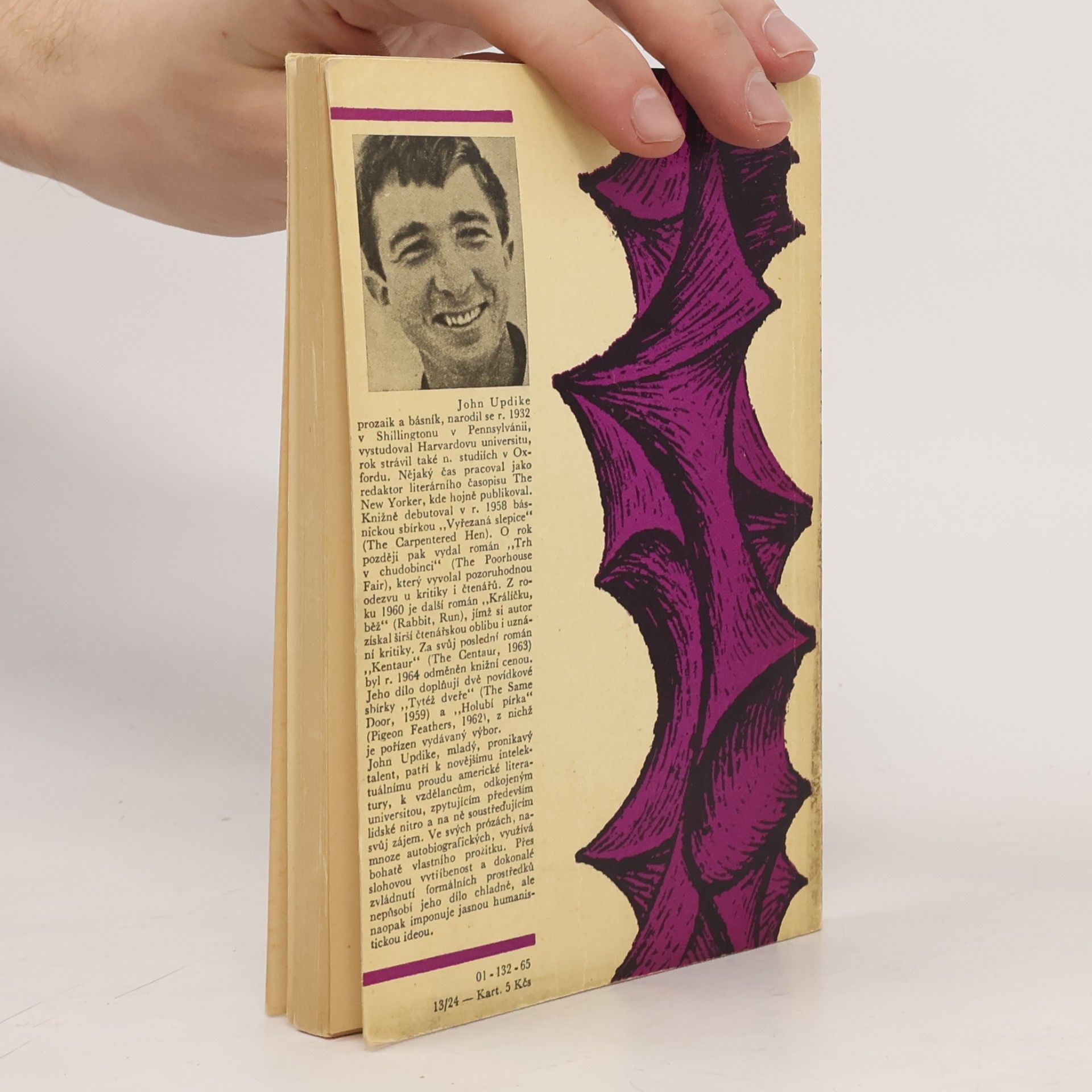 John Updike Holubí pírka