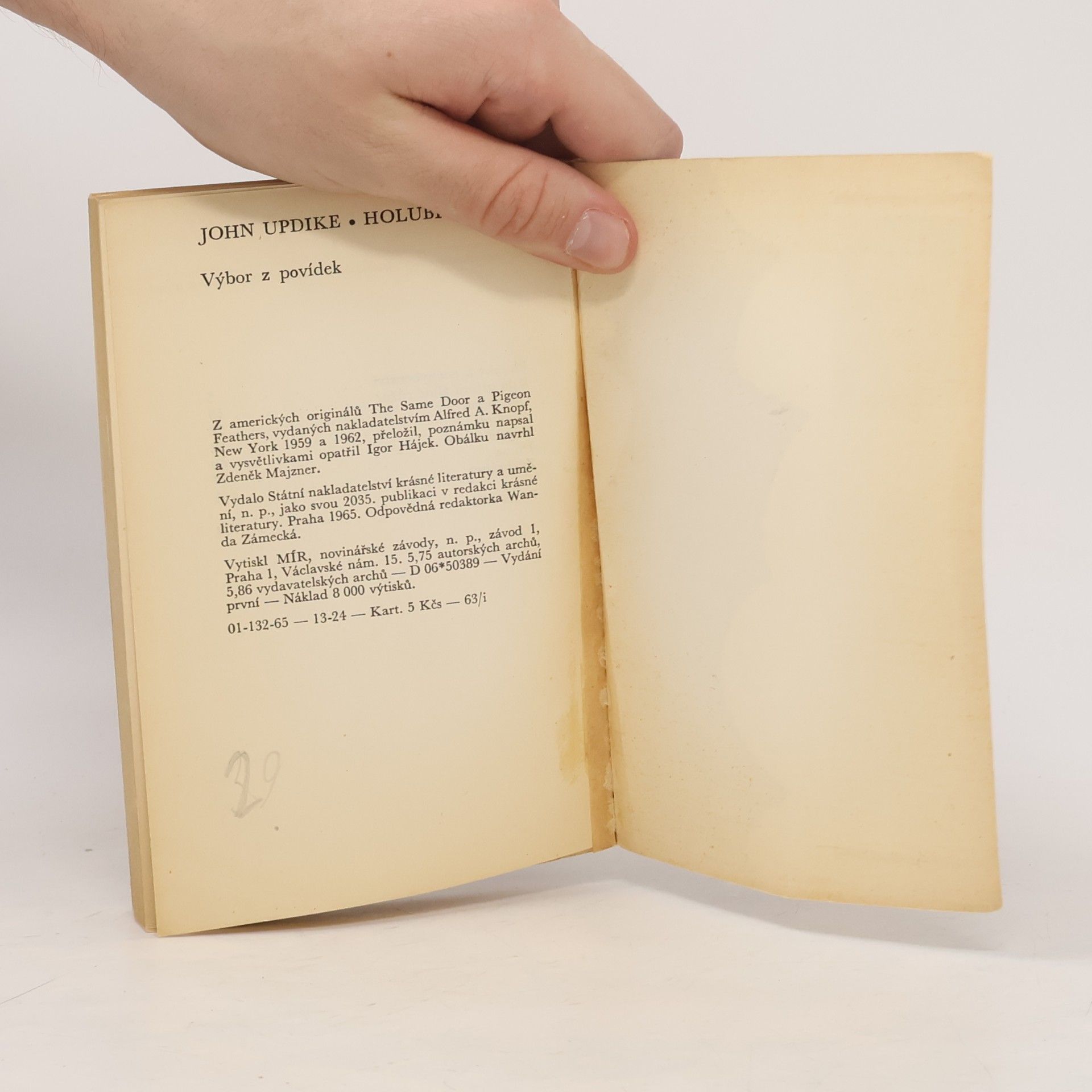 John Updike Holubí pírka