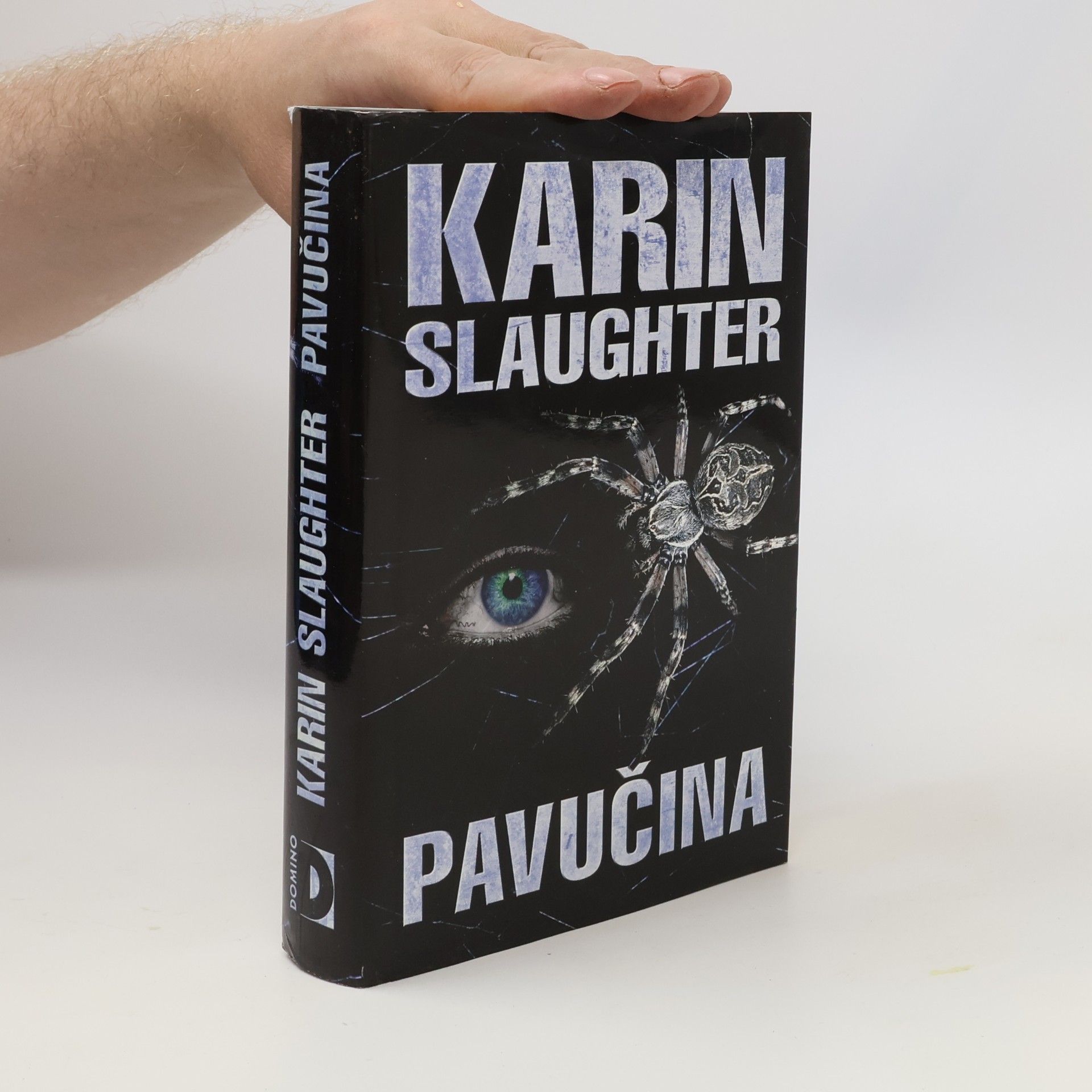 Karin Slaughter Pavučina